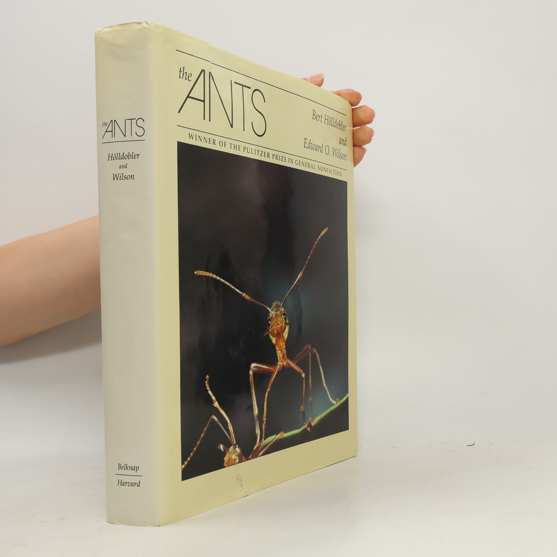 Bert Hölldobler The Ants