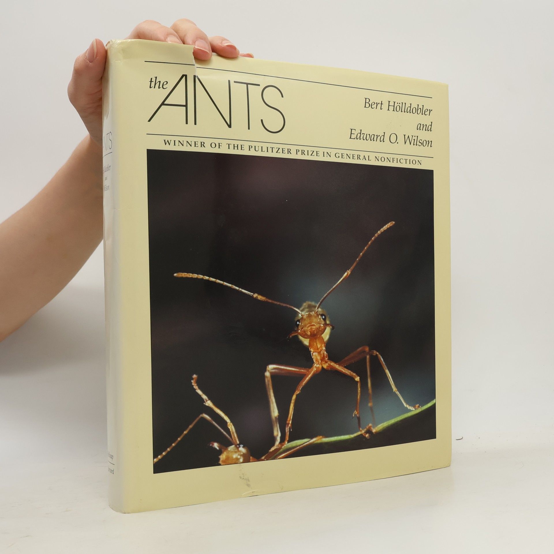 Bert Hölldobler The Ants