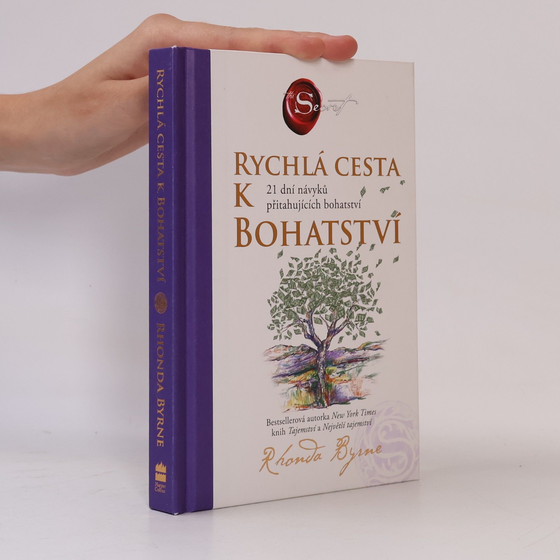 Rychlá cesta k bohatství : 21 dní návyků přitahujících bohatství