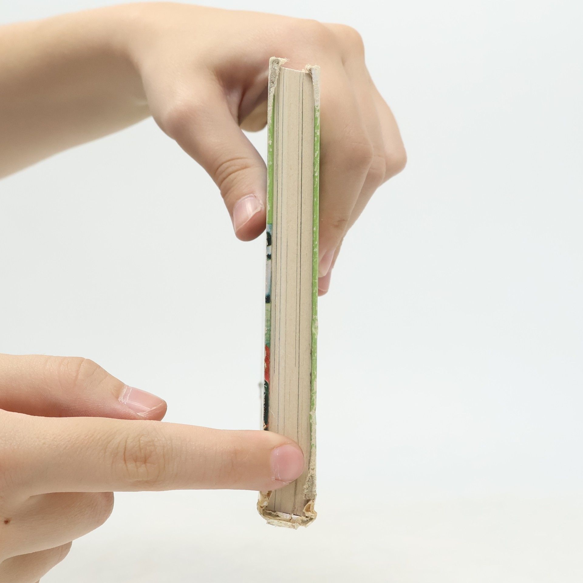 Collectif d'auteurs Zimmerpflanzen und wie man sie pflegt
