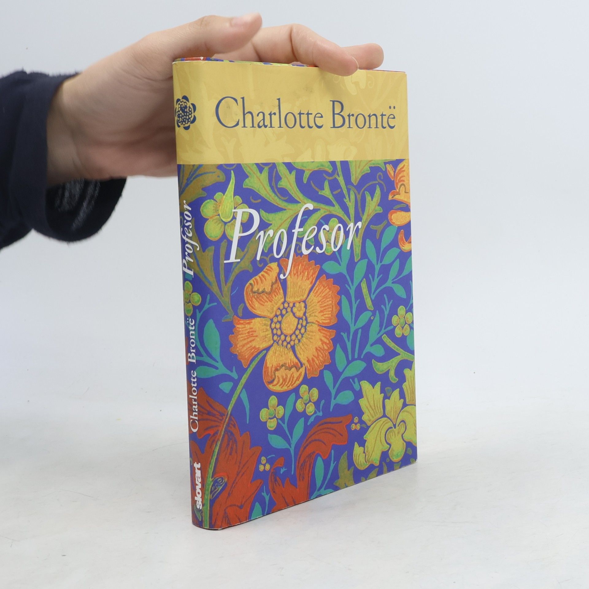 Charlotte Brontë Profesor