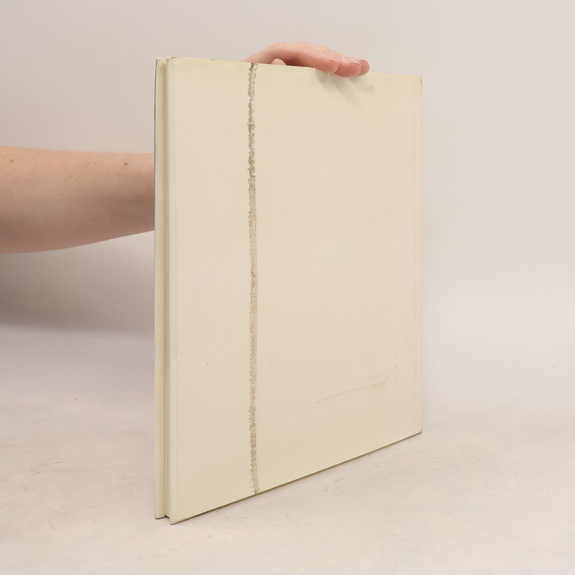 Krisztina Passuth Kunst des 20. [zwanzigsten] Jahrhunderts