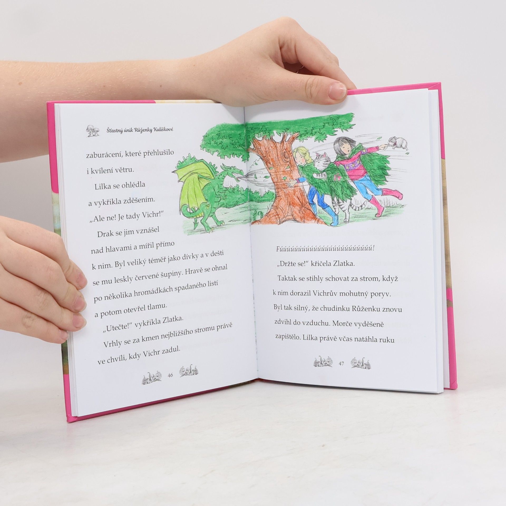 Daisy Meadows Šťastný únik Růženky Kulíškové