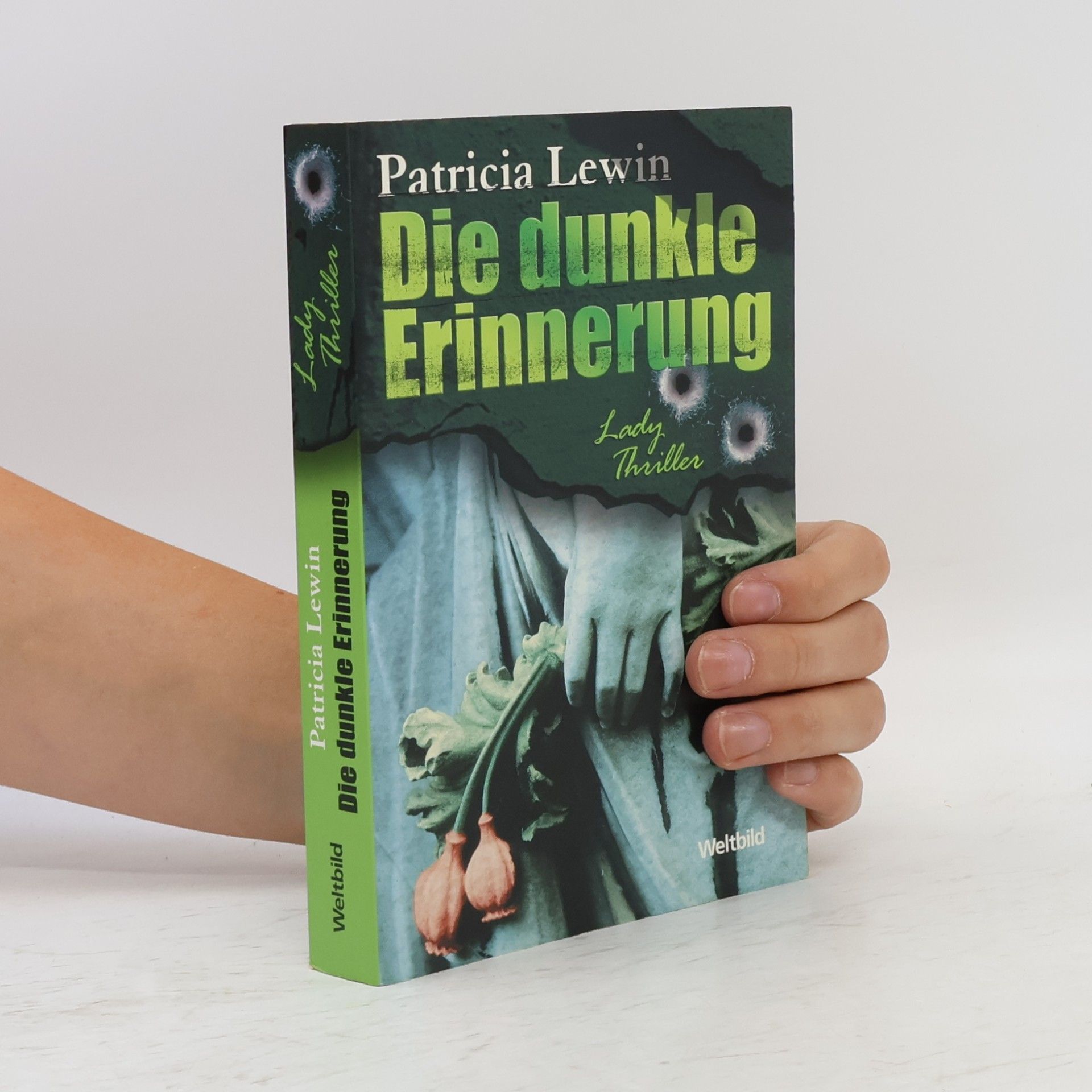 Patricia Lewin Die dunkle Erinnerung