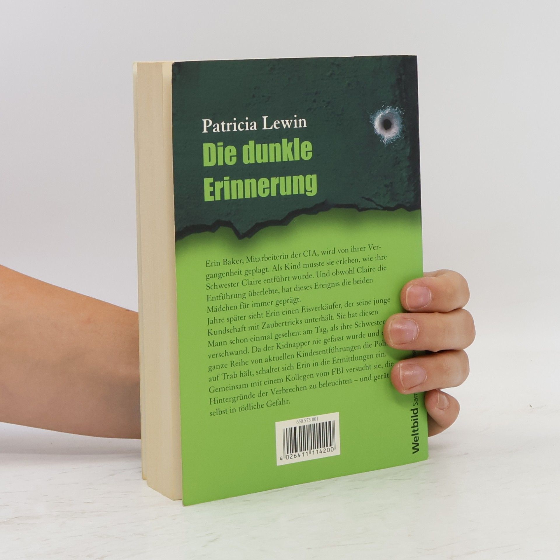 Patricia Lewin Die dunkle Erinnerung
