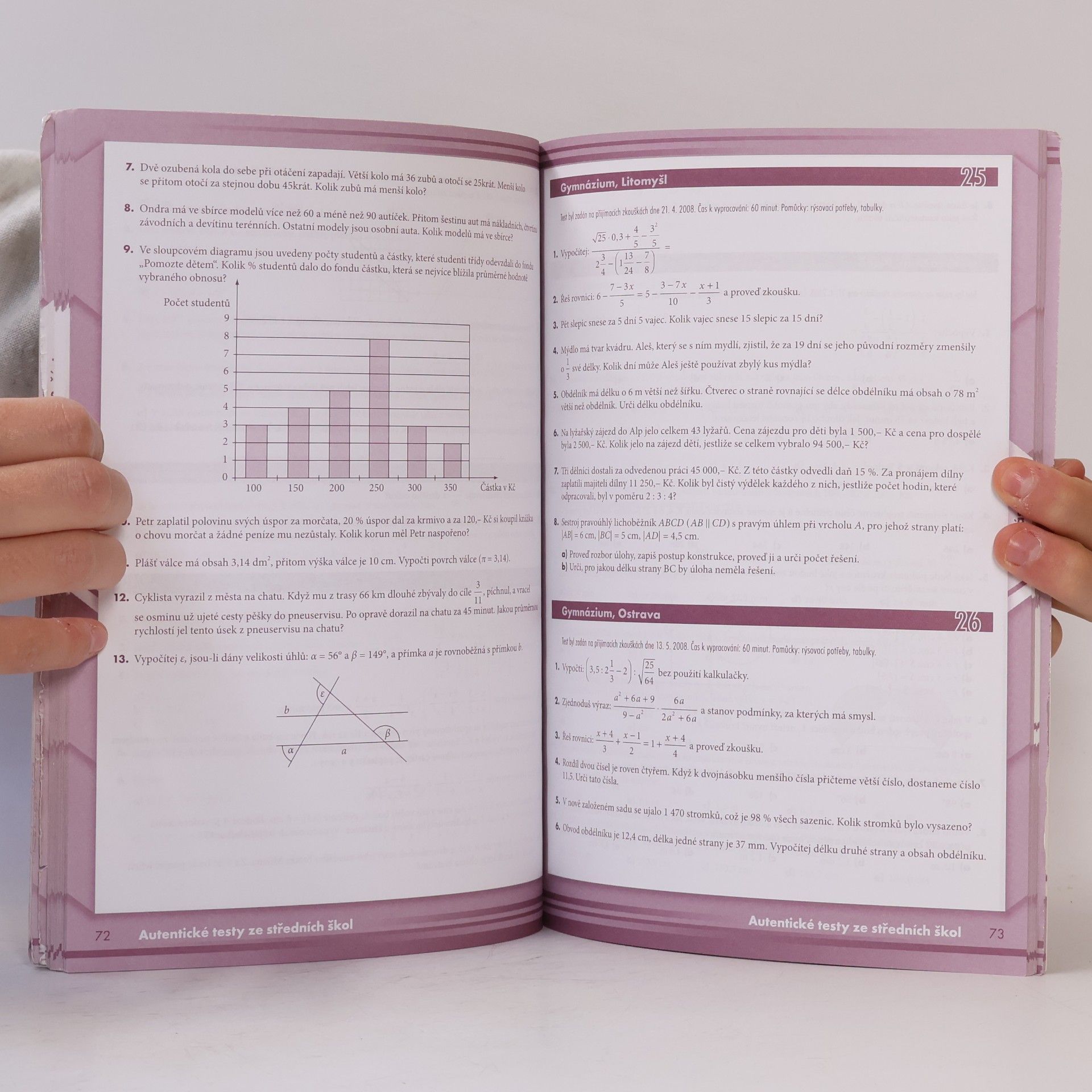 Kolektiv autorů Testy z matematiky 2009