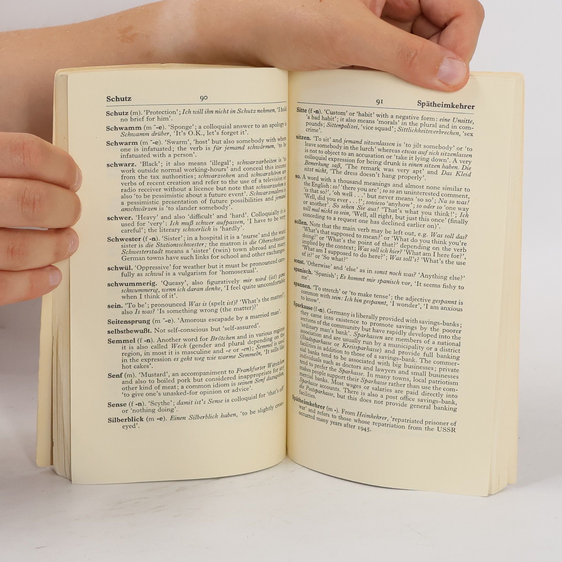 Beatrix Anderson Beyond the Dictionary in German