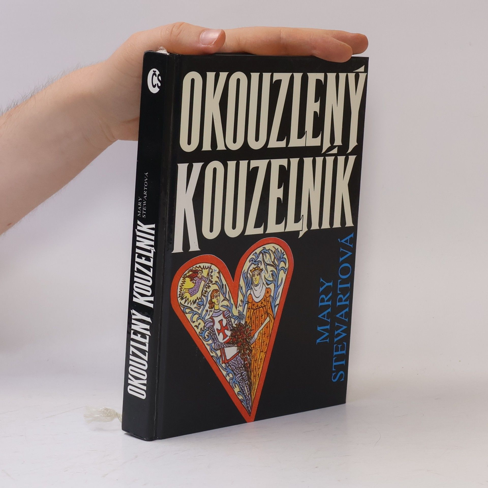 Mary Stewart Okouzlený kouzelník