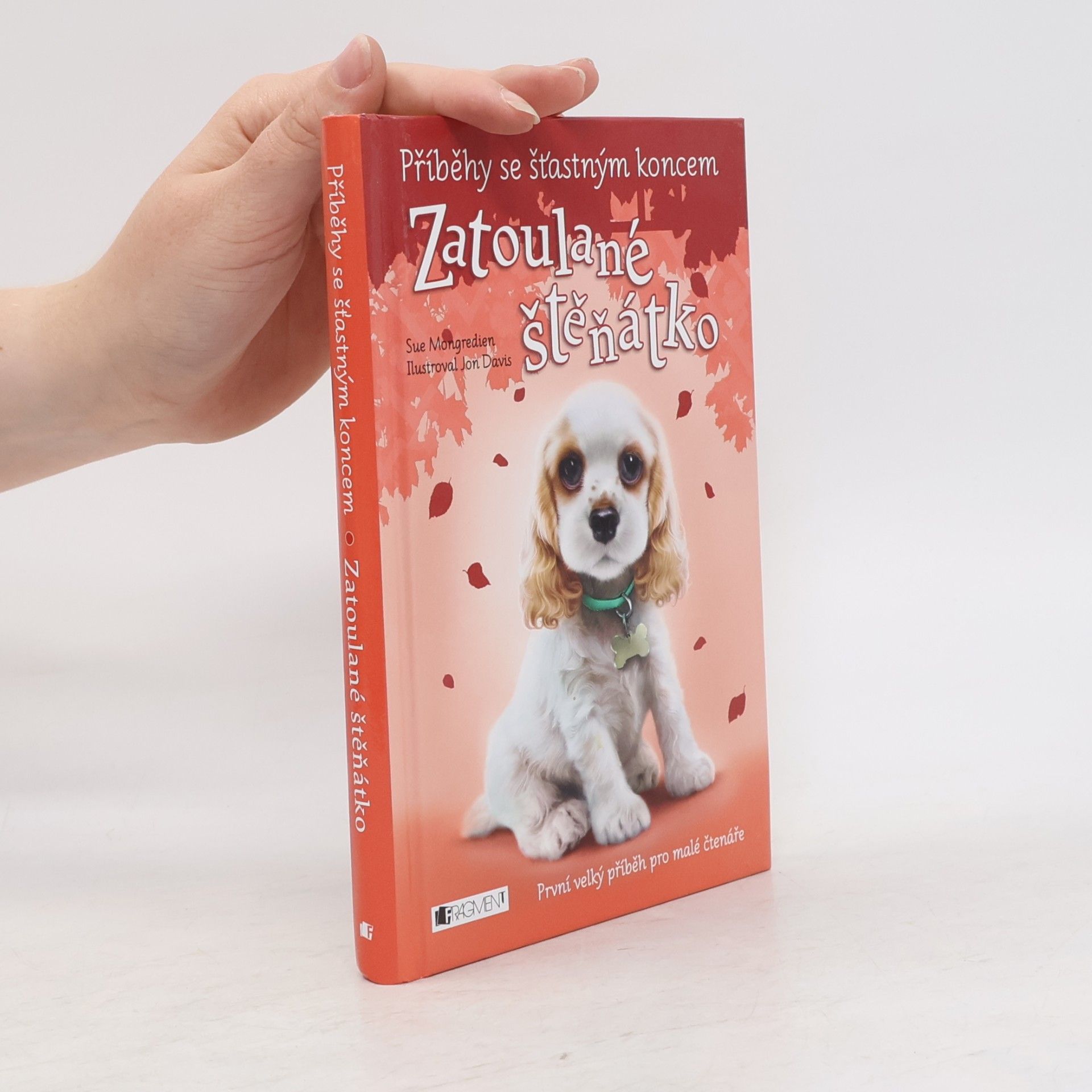 Lucy Diamond Zatoulané štěňátko