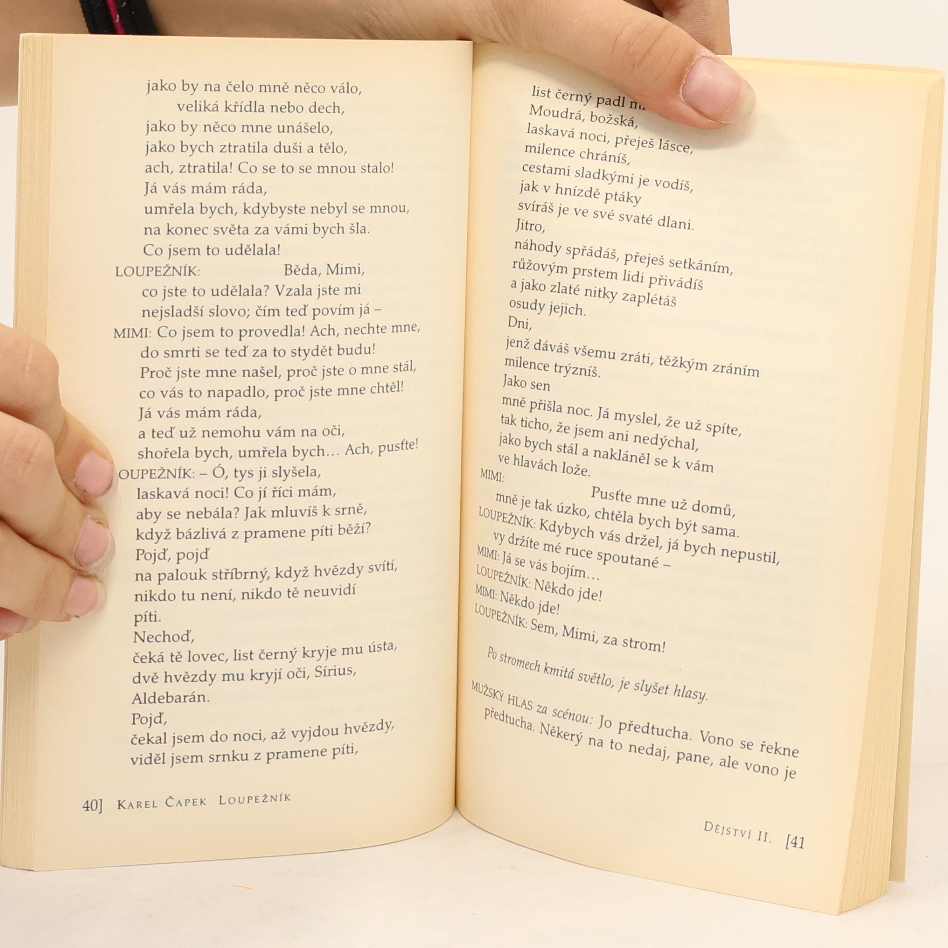 Karel Čapek Loupežník