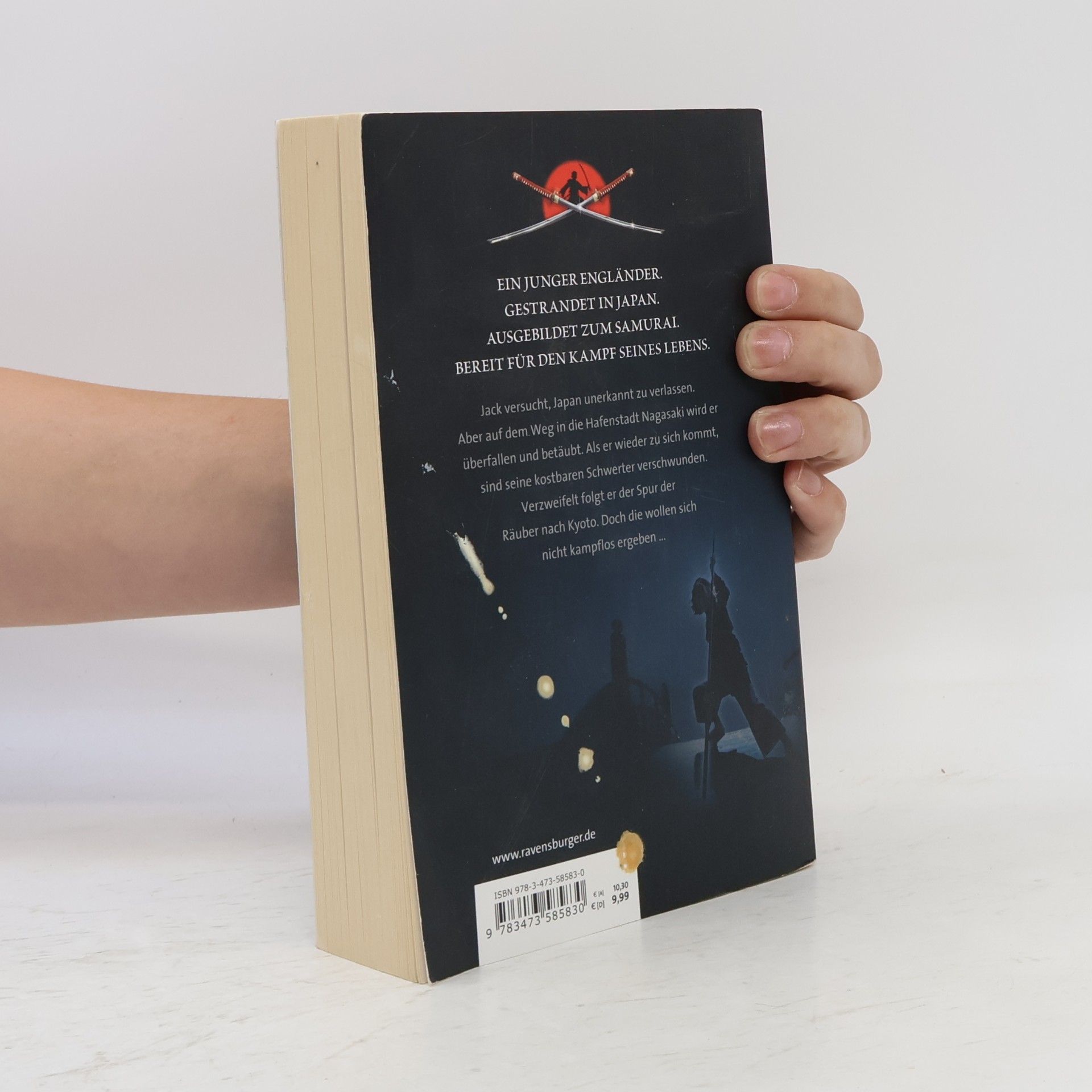 Chris Bradford Samurai, Band 5: Der Ring des Wassers