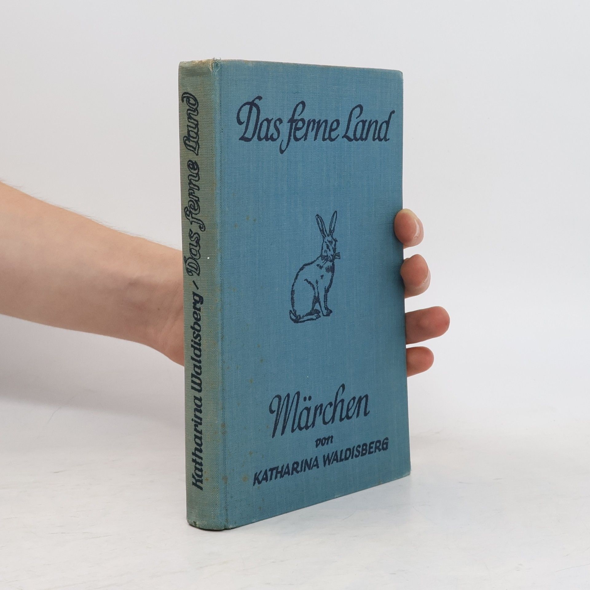 Katharina Waldisberg Das ferne Land