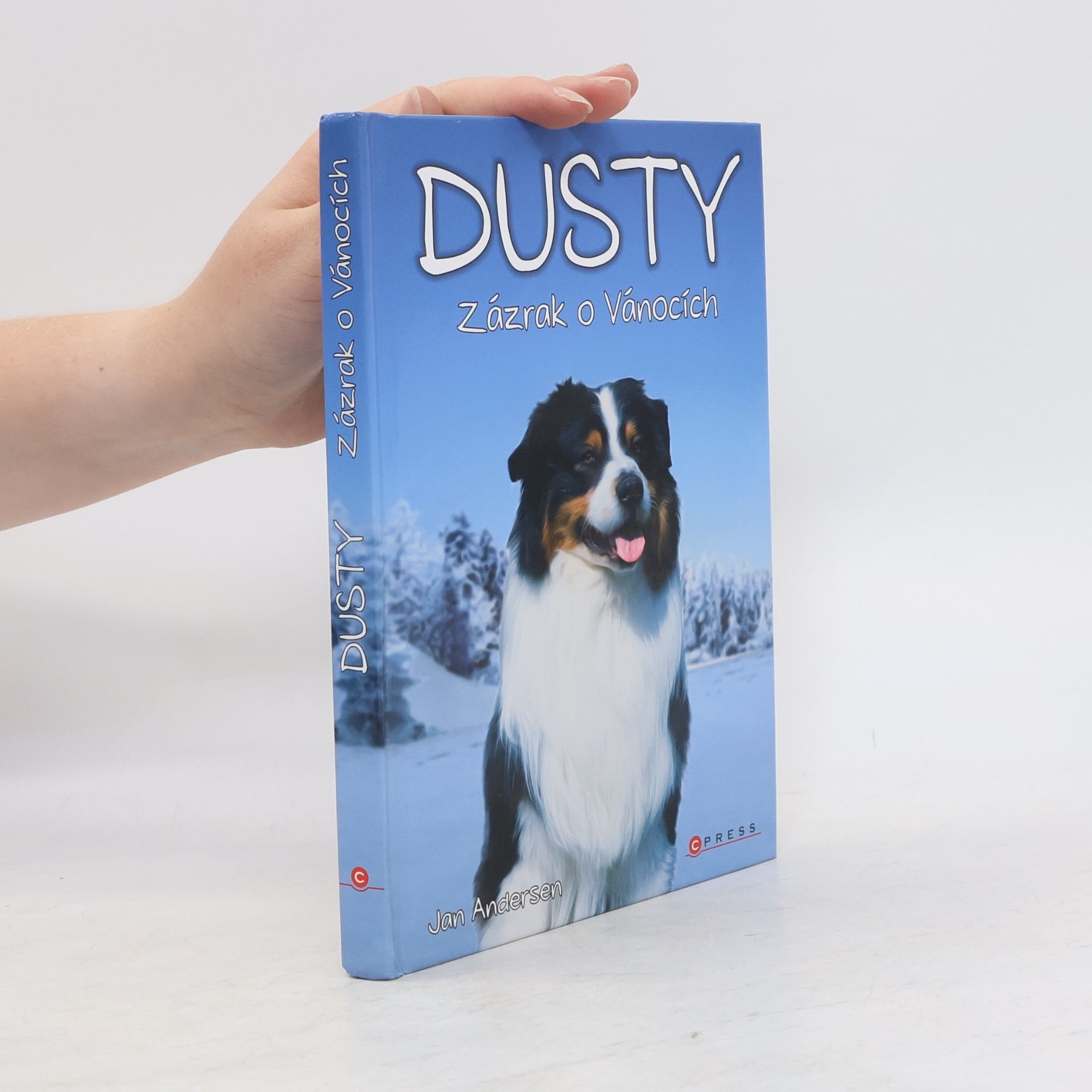 Wolfram Hänel Dusty: Zázrak o Vánocích