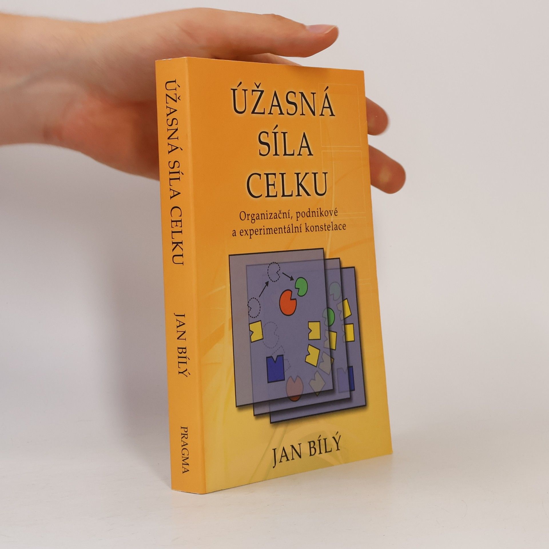 Jan Bílý Úžasná síla celku : organizační, podnikové a experimentální konstelace