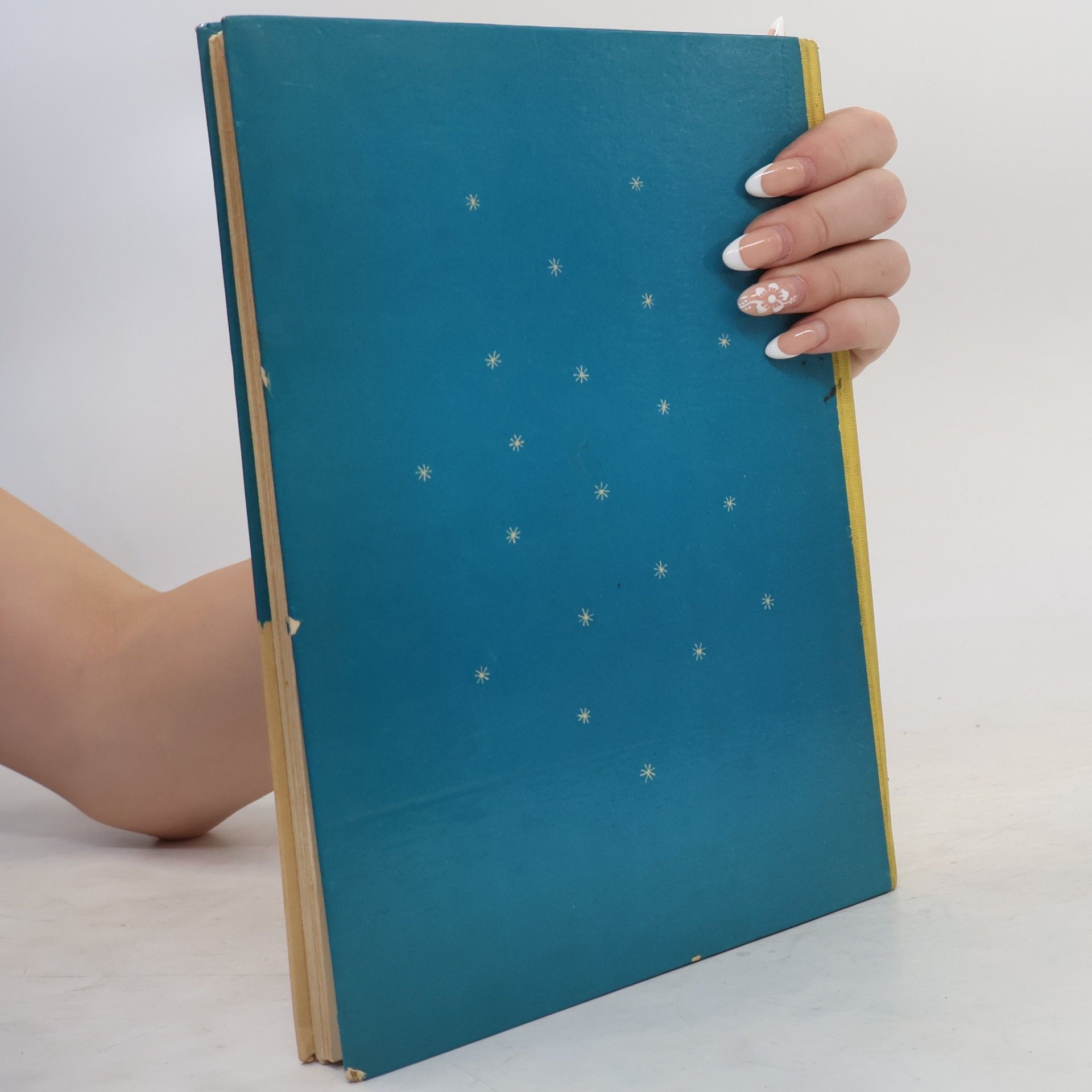Georg Willroda Das Land ohne Buchstaben