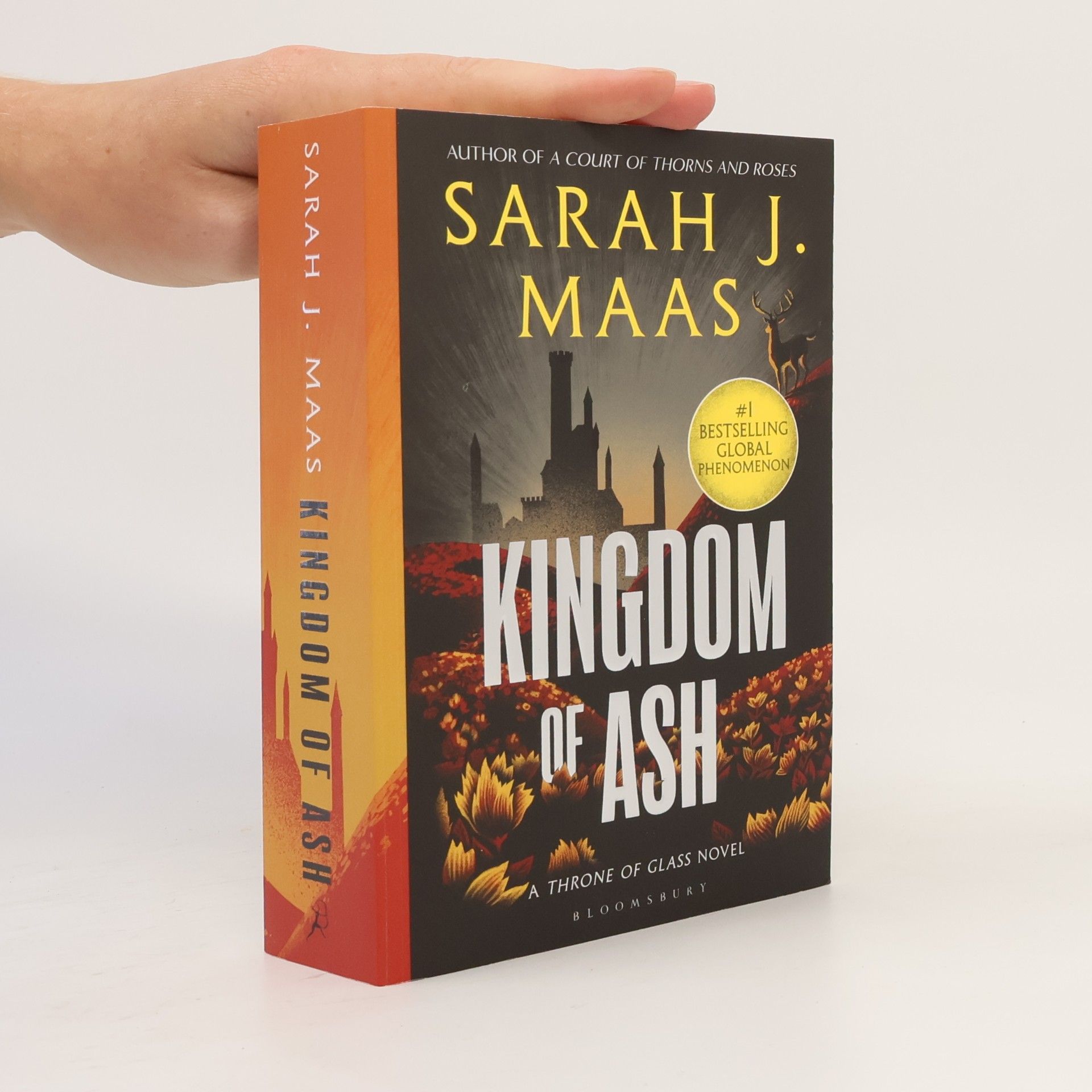 Sarah J. Maas Kingdom of Ash
