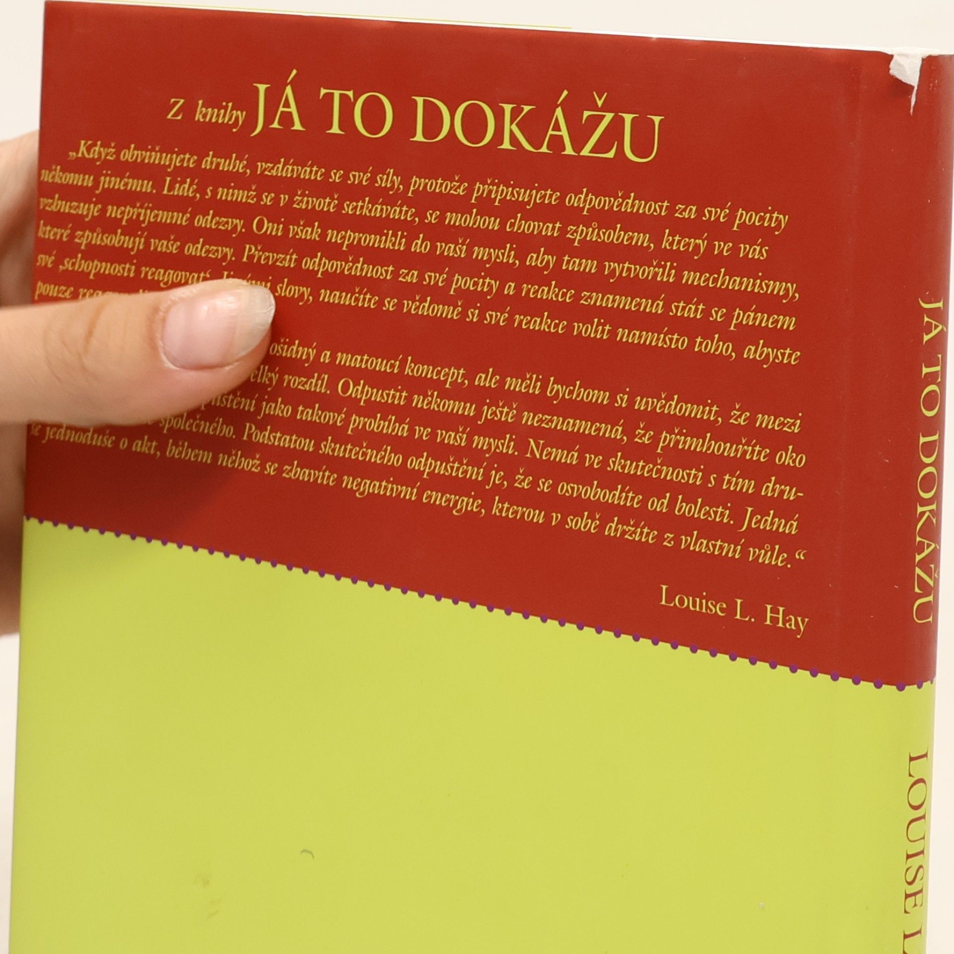 Louise Lynn Hay Já to dokážu