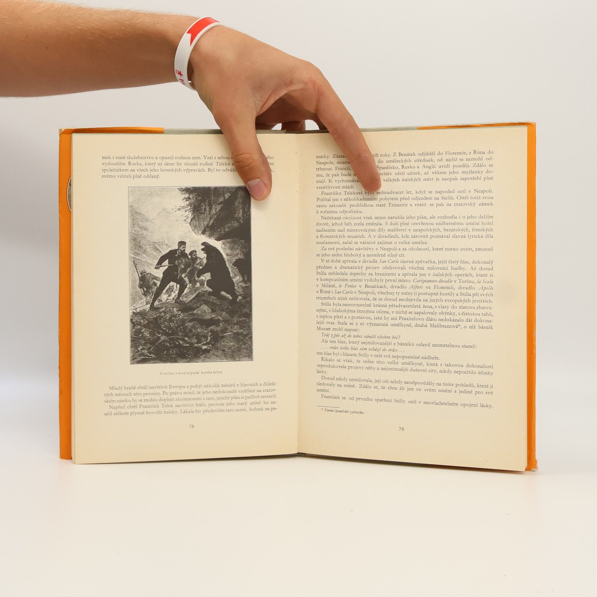 Jules Verne Tajemný hrad v Karpatech
