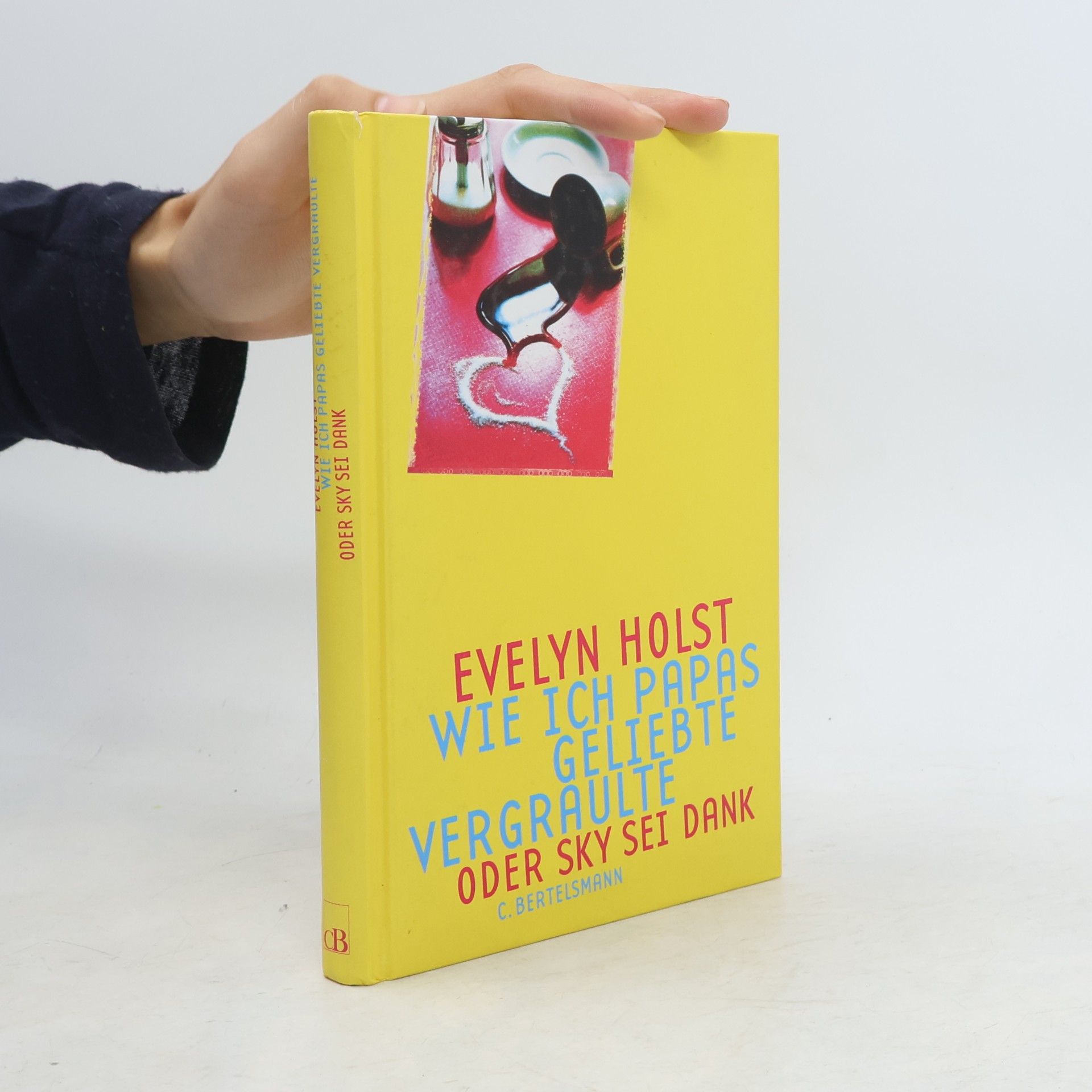 Evelyn Holst Wie ich Papas Geliebte vergraulte oder Sky sei Dank