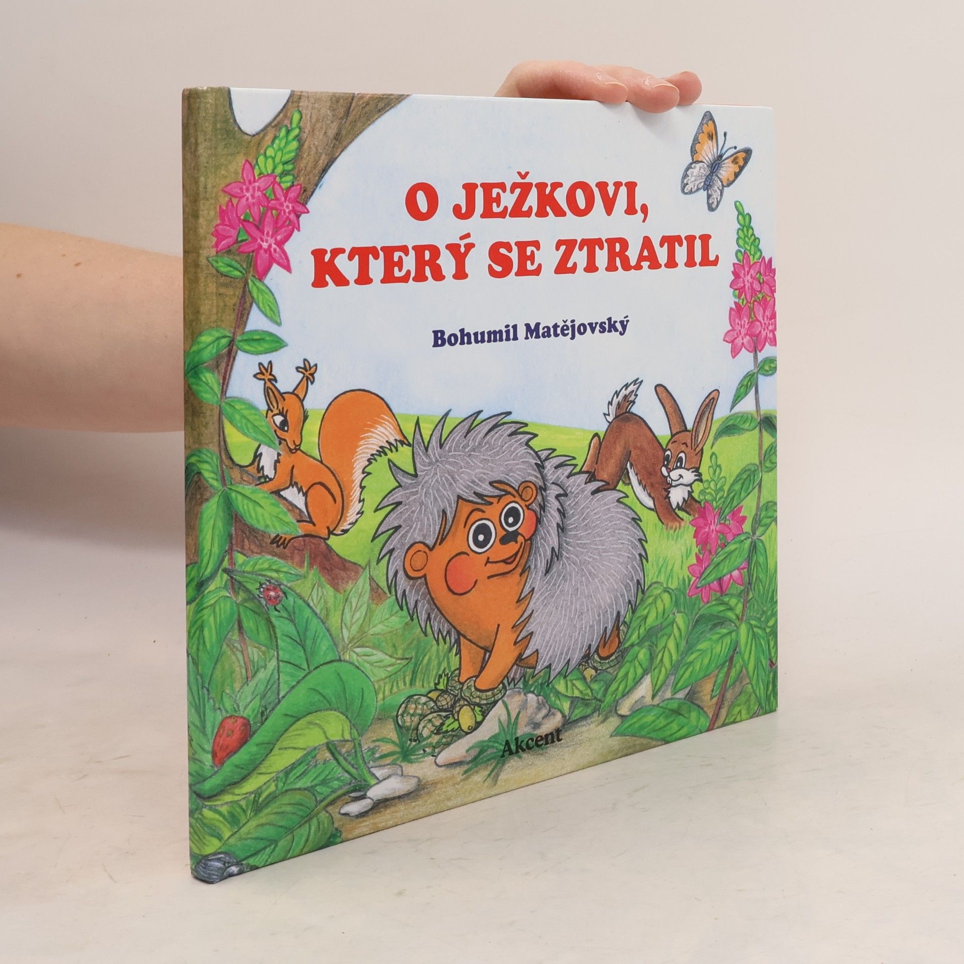 Dagmar Španillerová O ježkovi, který se ztratil