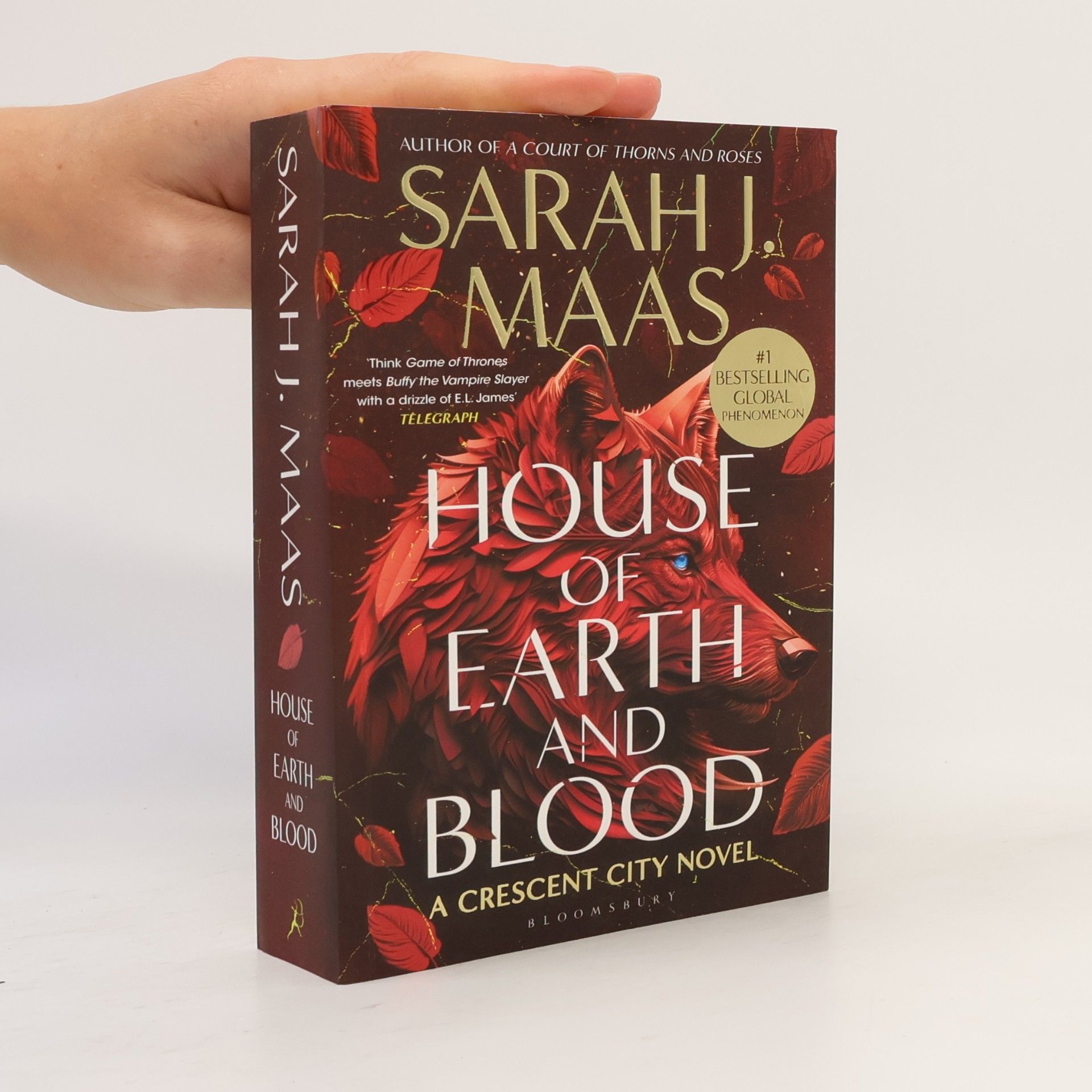Sarah J. Maas House of Earth and Blood
