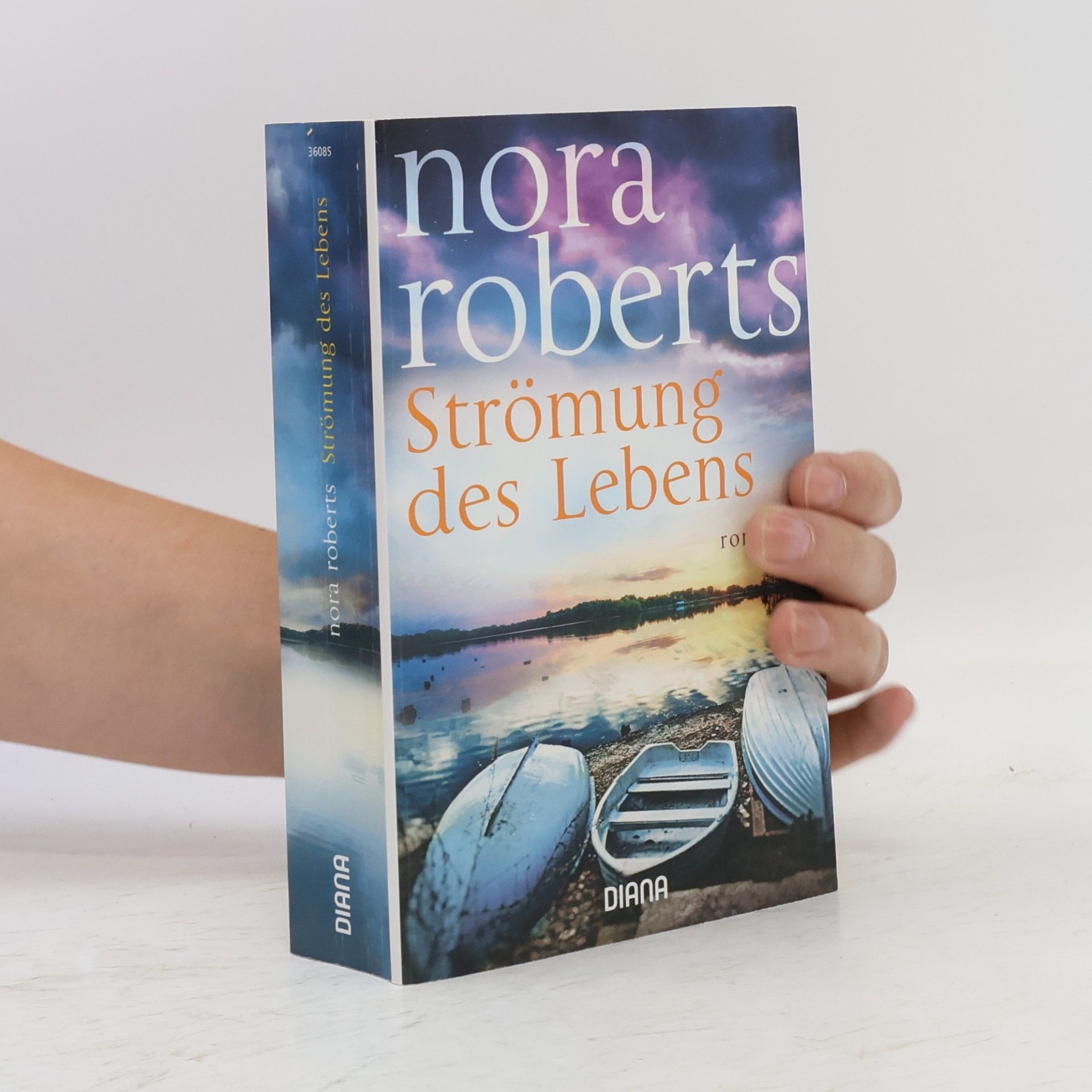 Nora Roberts Strömung des Lebens