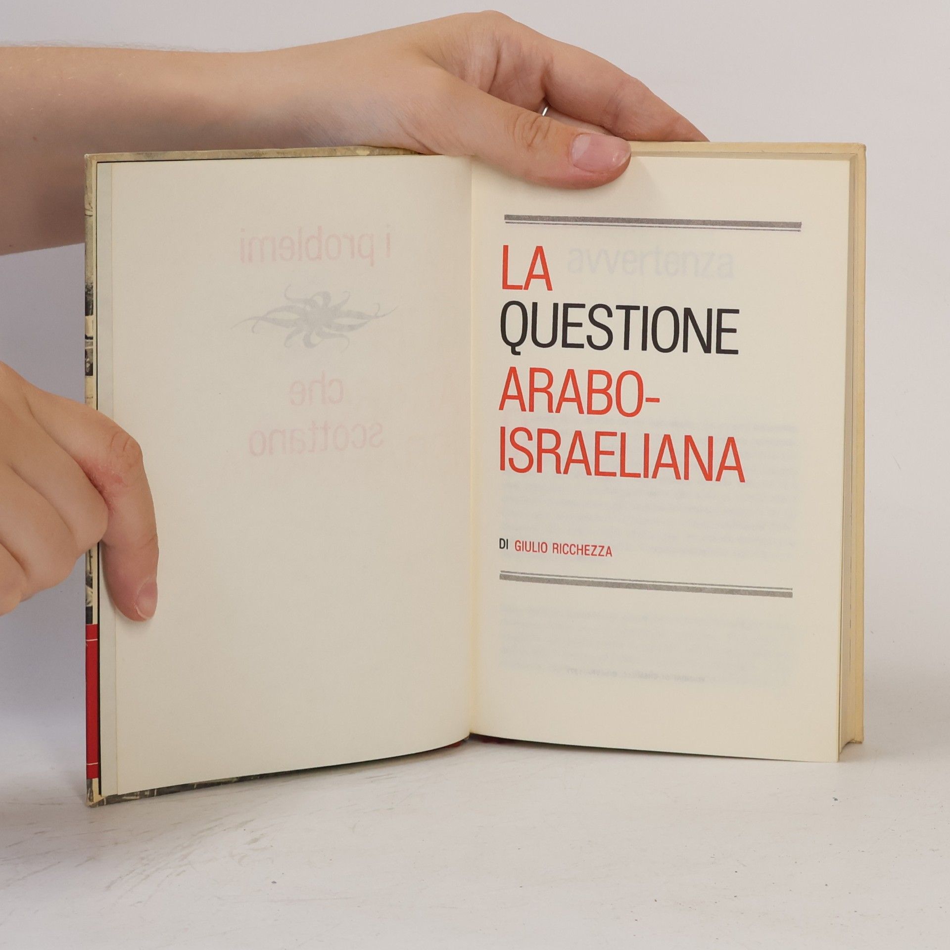 Giulio Ricchezza  La questione arabo-israeliana