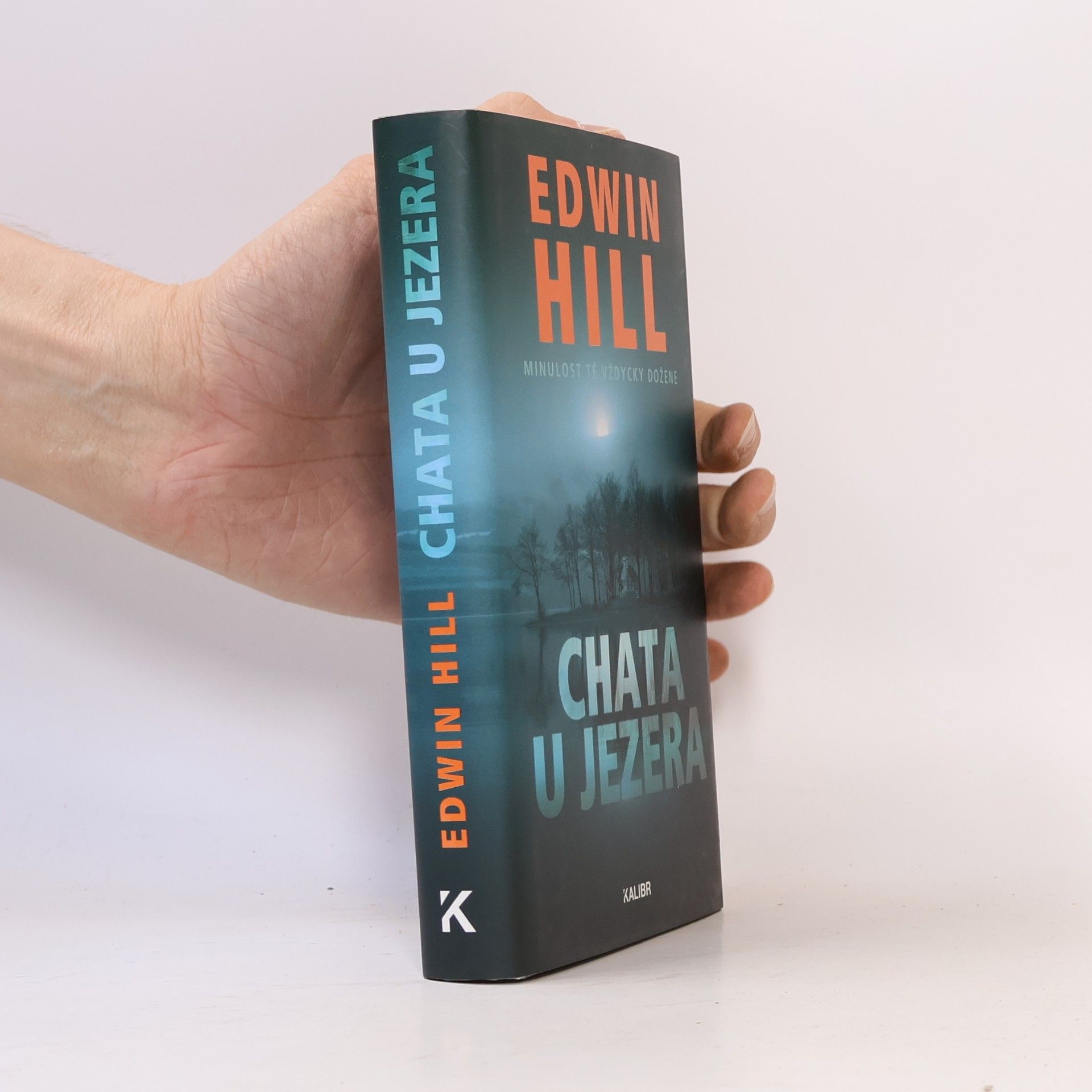 Edwin Hill Chata u jezera