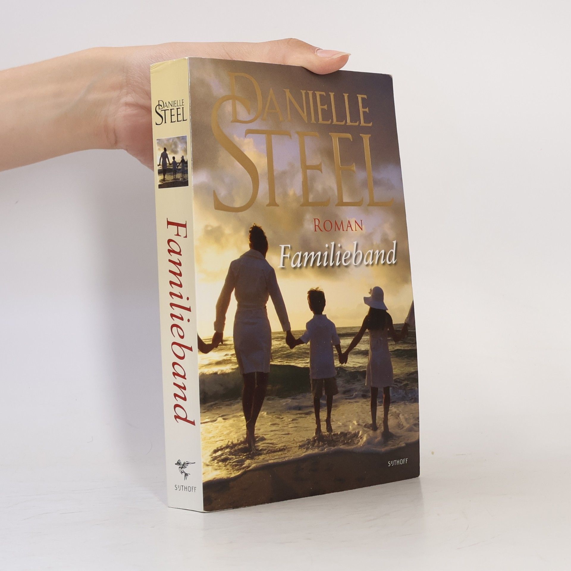 Danielle Steel Familieband