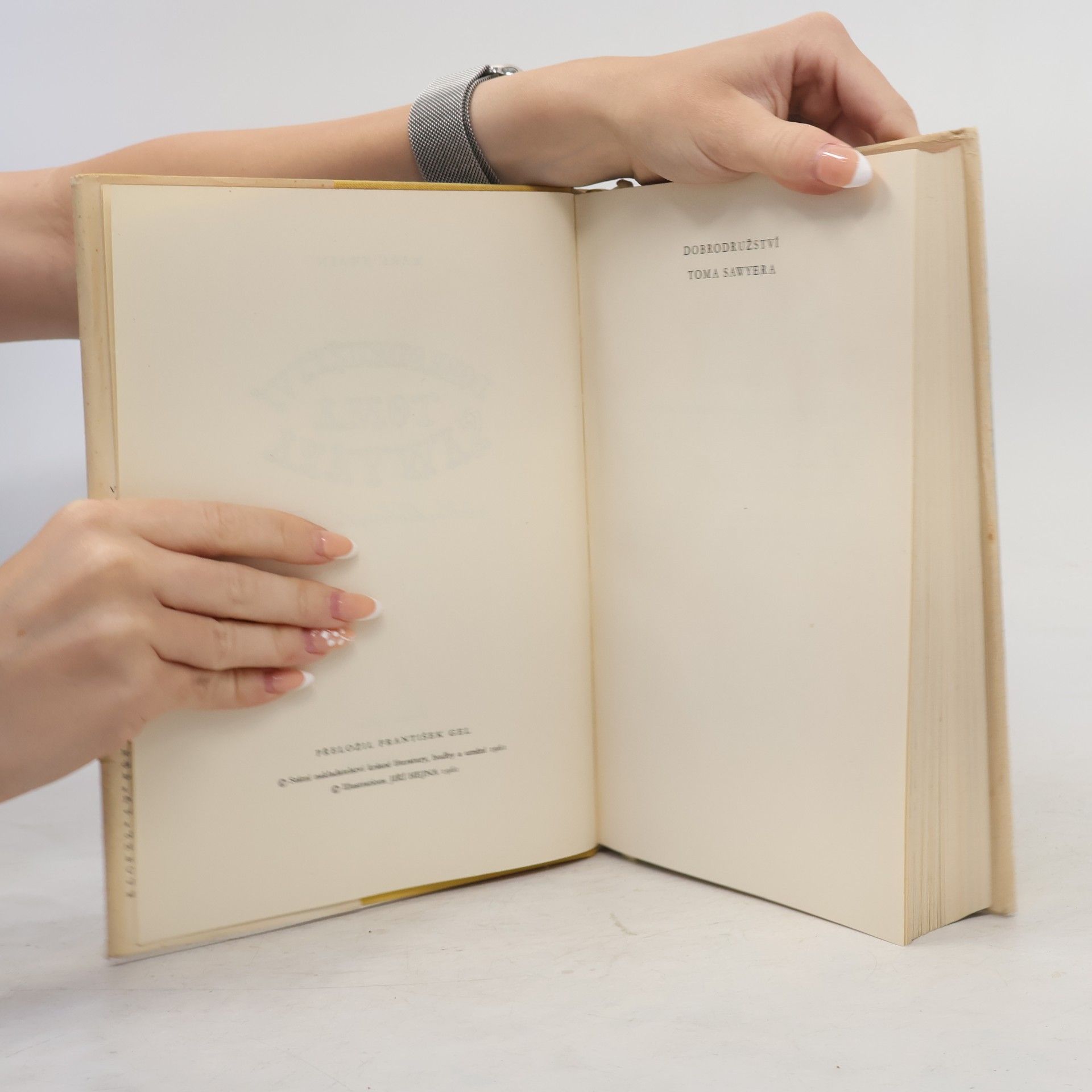Mark Twain Dobrodružství Toma Sawyera a Huckleberryho Finna