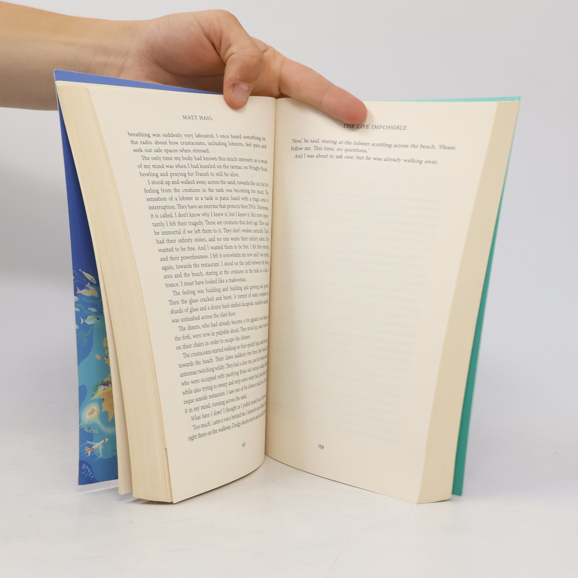 Matt Haig The Life Impossible