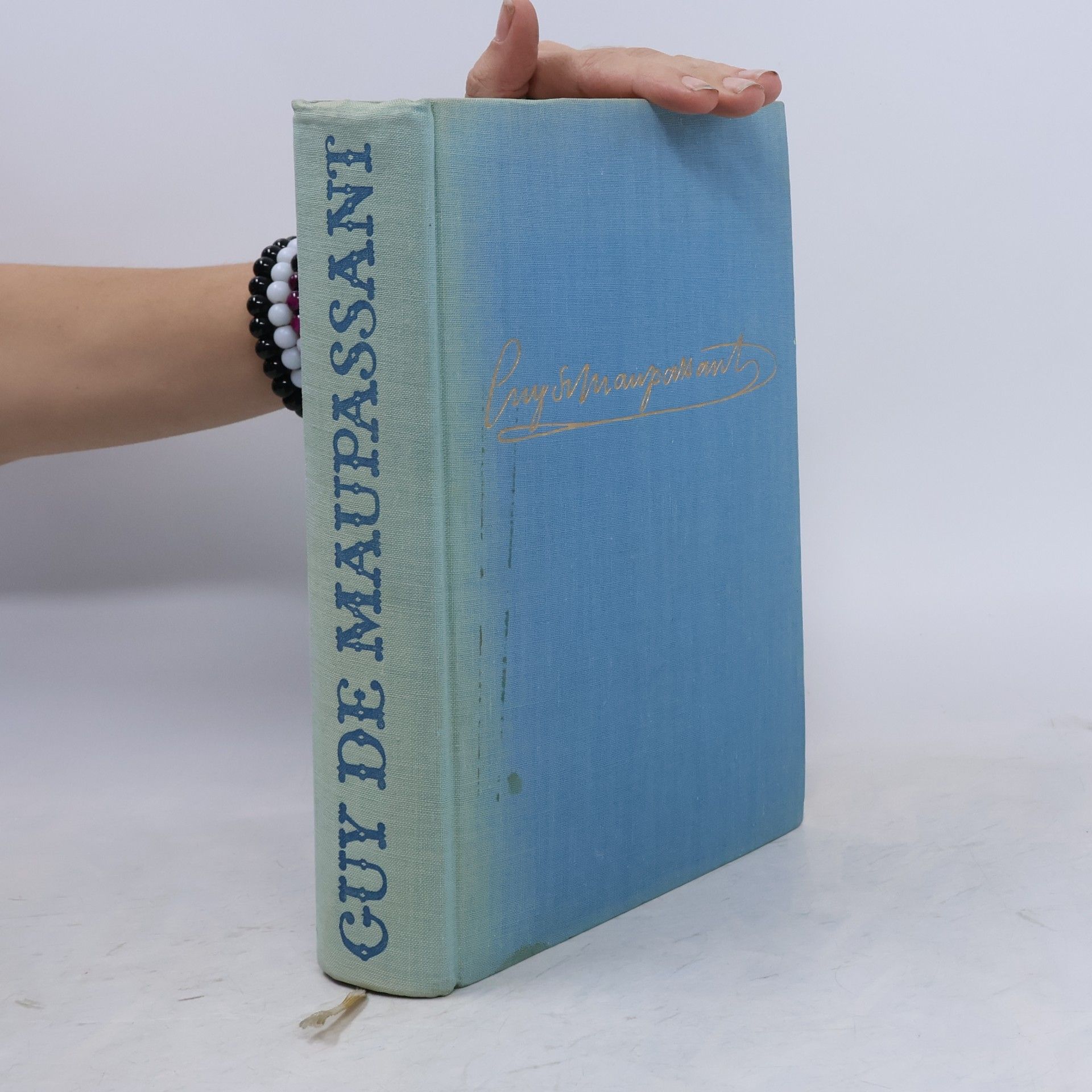 Guy de Maupassant Neděle pařížského měšťáka