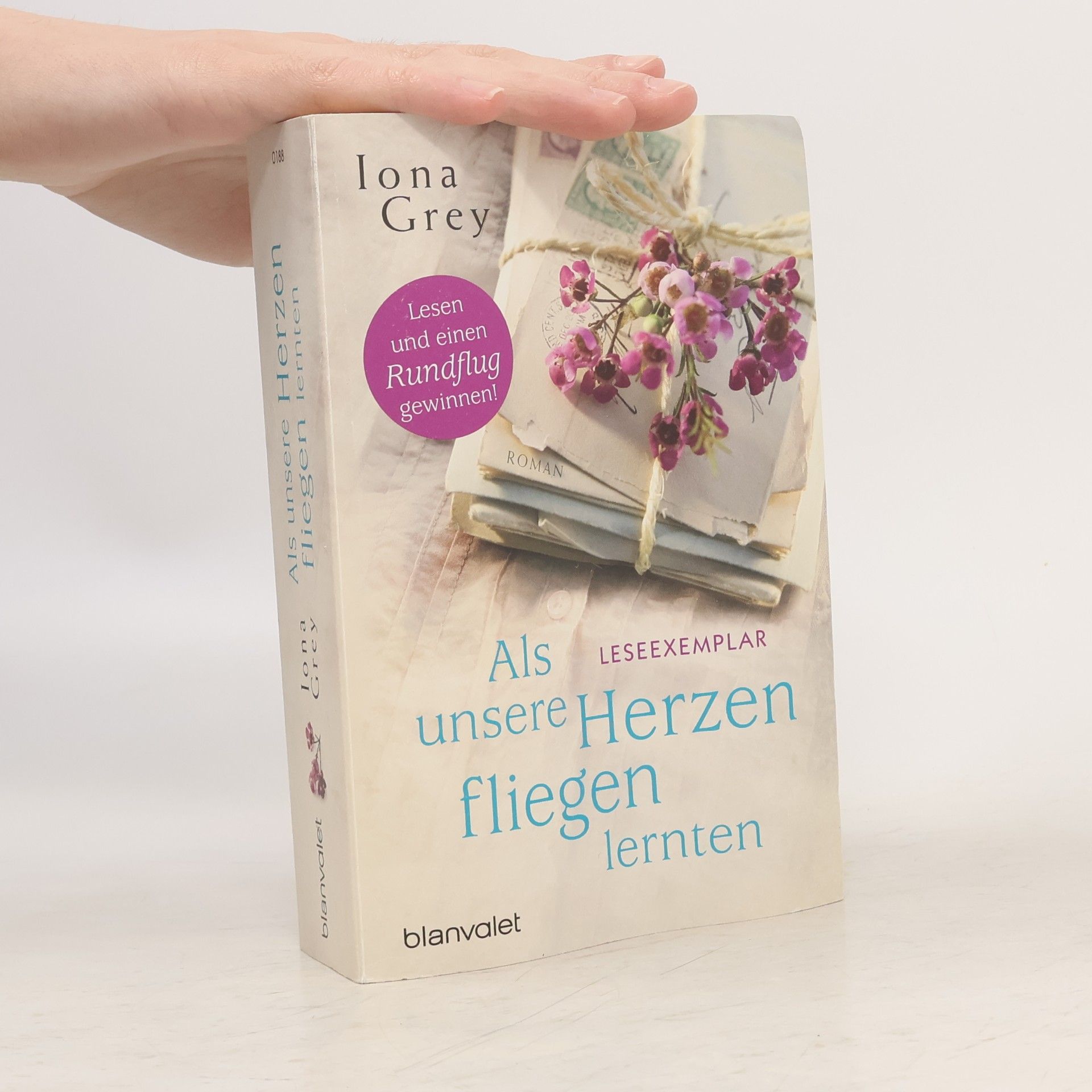 Iona Grey Als unsere Herzen fliegen lernten