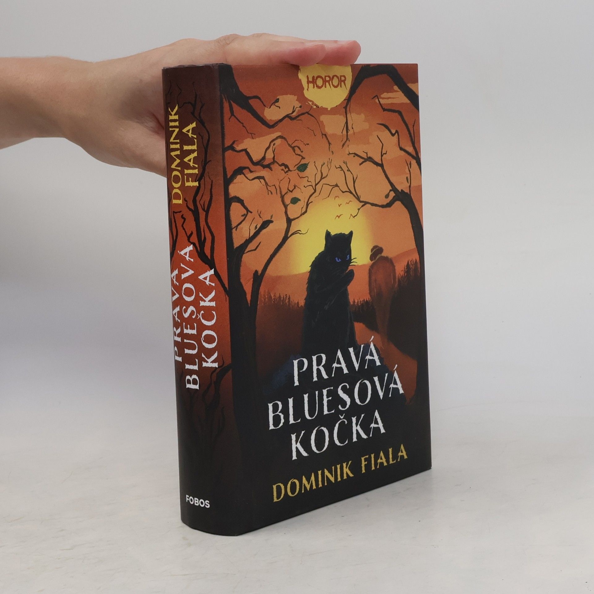 Dominik Fiala Pravá bluesová kočka