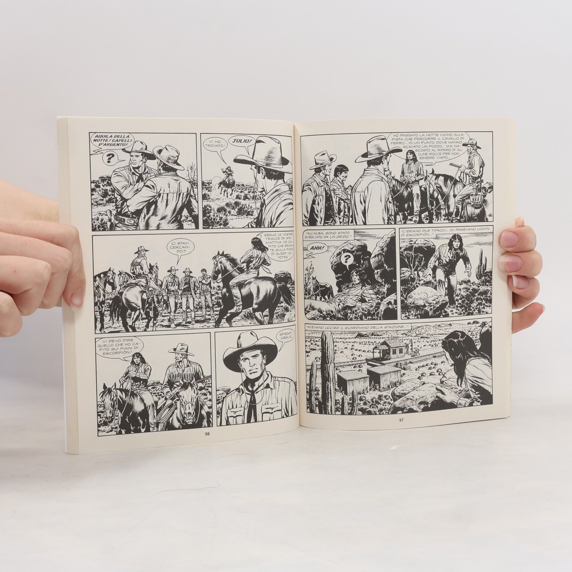 Autorenkollektiv Tex. Caccia al navajo