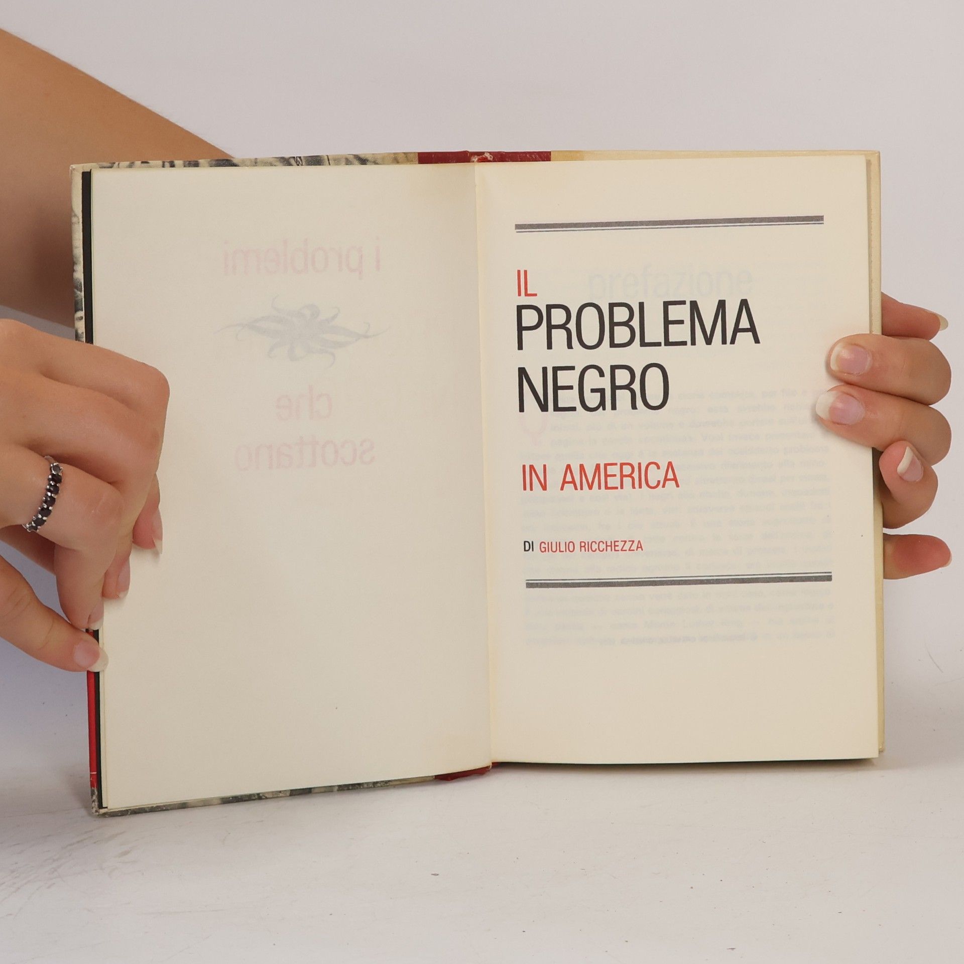 Giulio Ricchezza Il problema negro in America