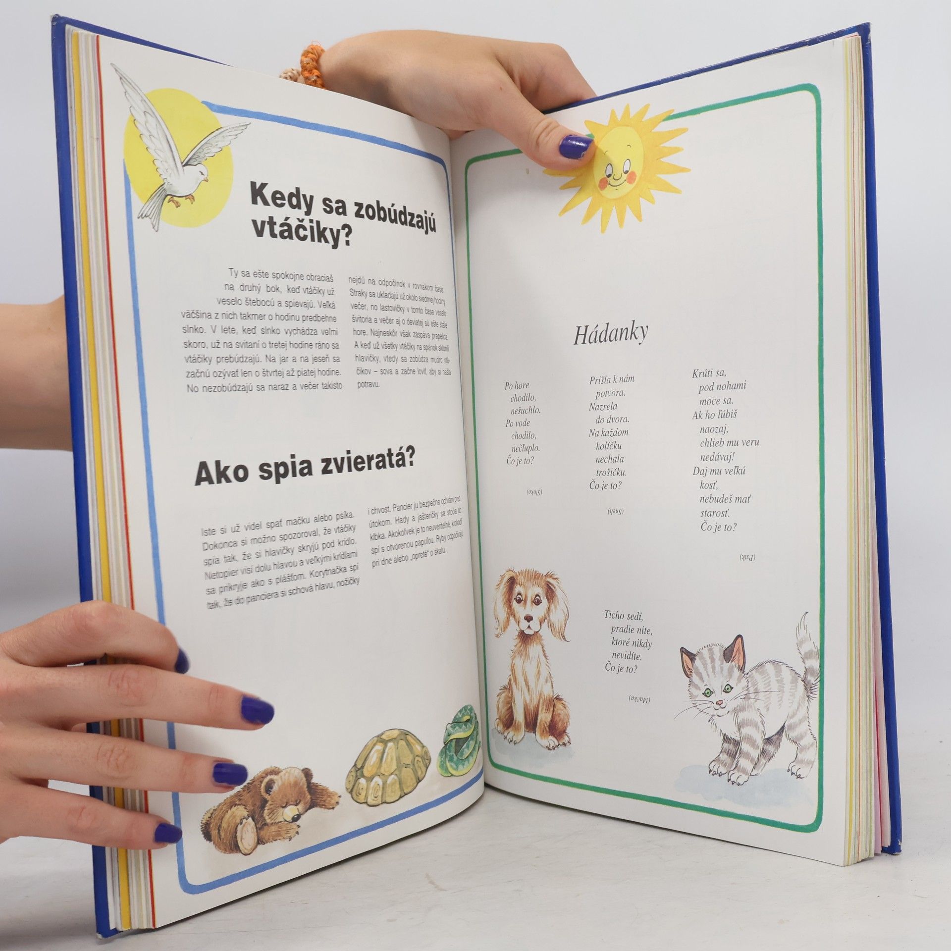 Collectif d'auteurs Veĺká kniha malého školáka