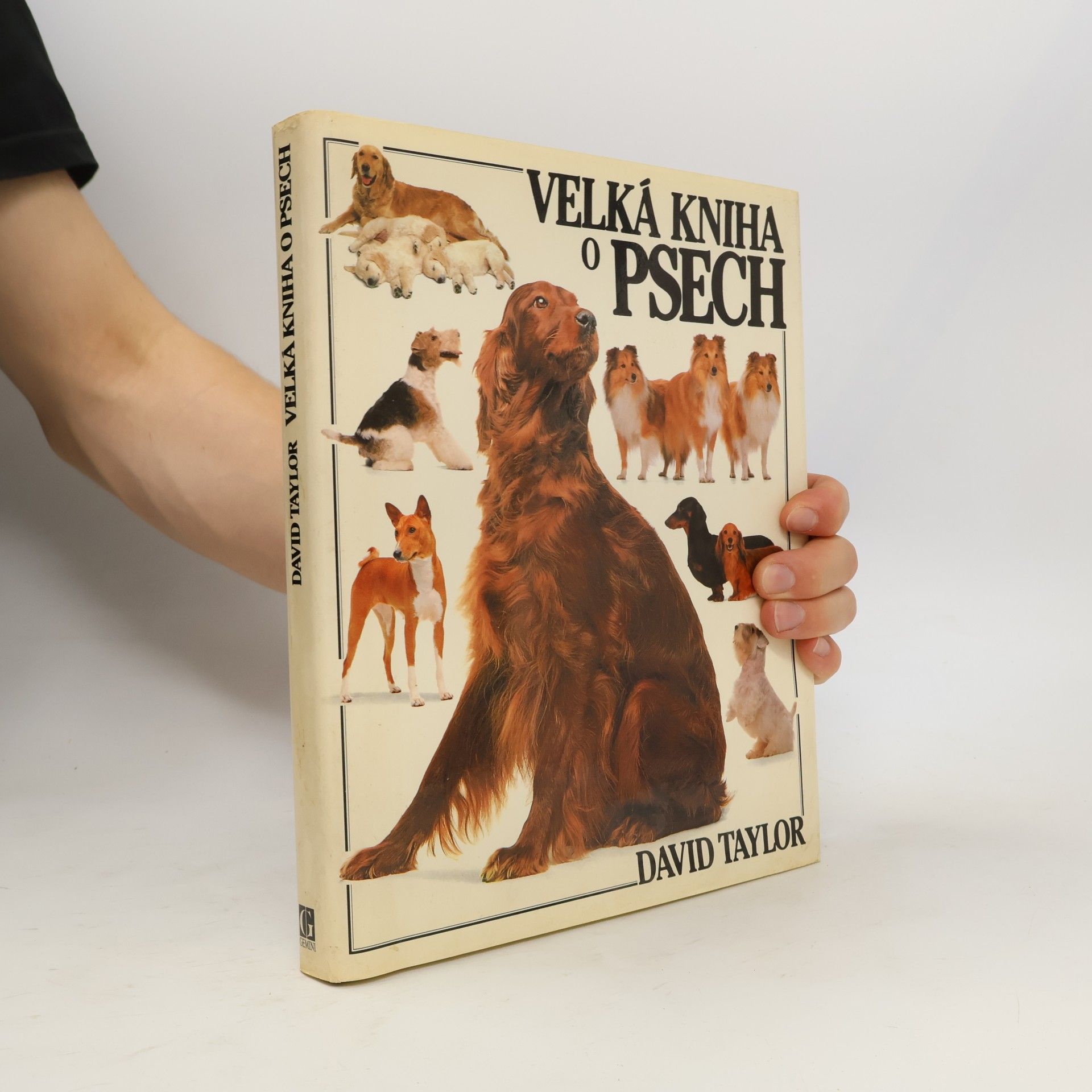 David Conrad Taylor Velká kniha o psech