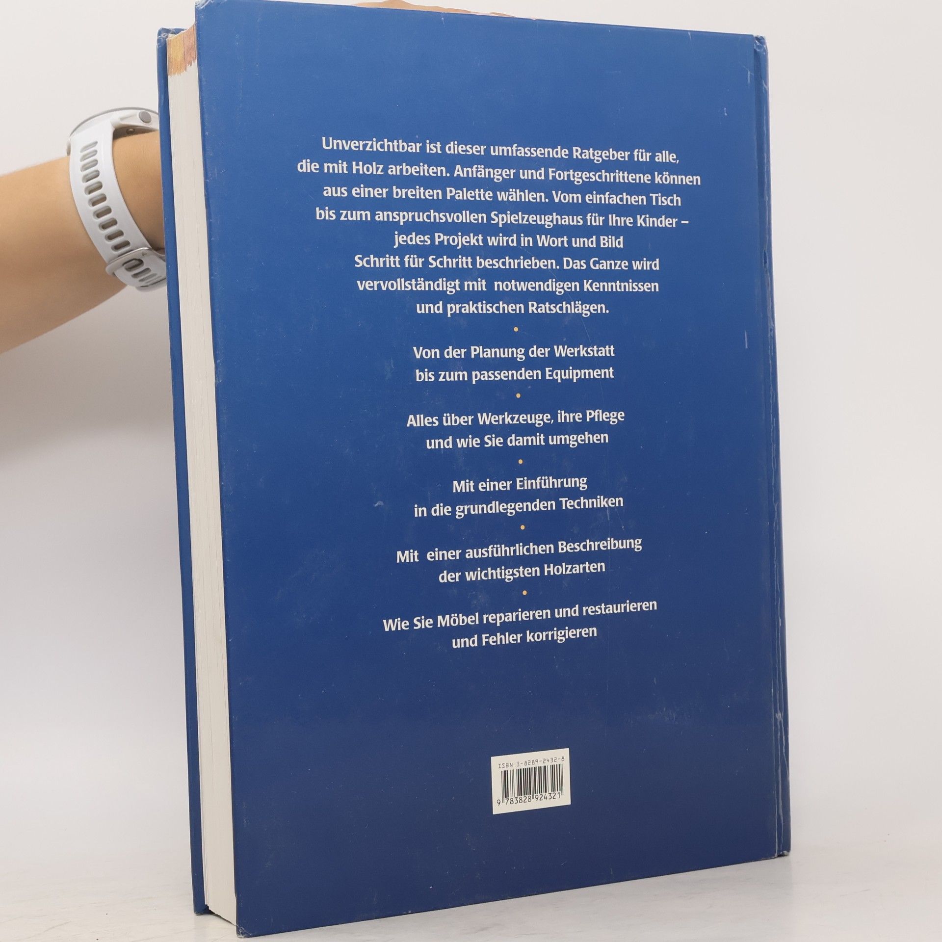 Mark Ramuz Handbuch Holz