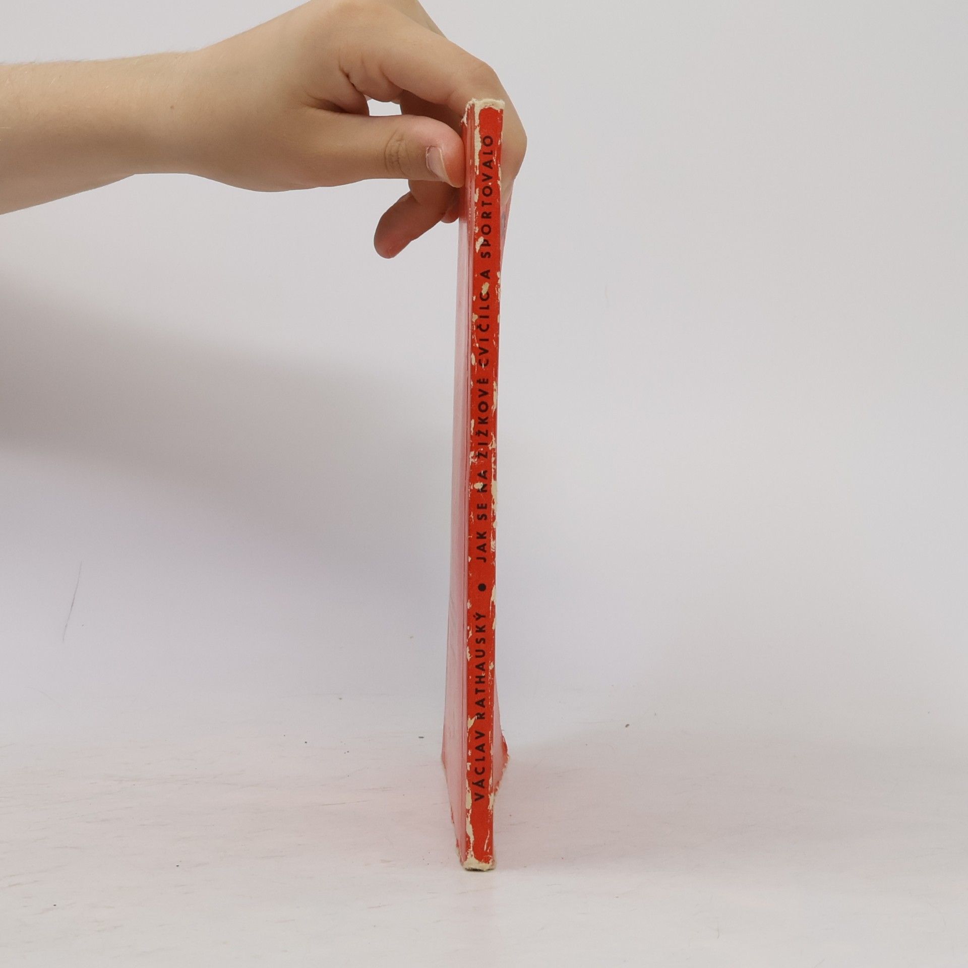 Václav Rathauský Jak se na Žižkově cvičilo a sportovalo
