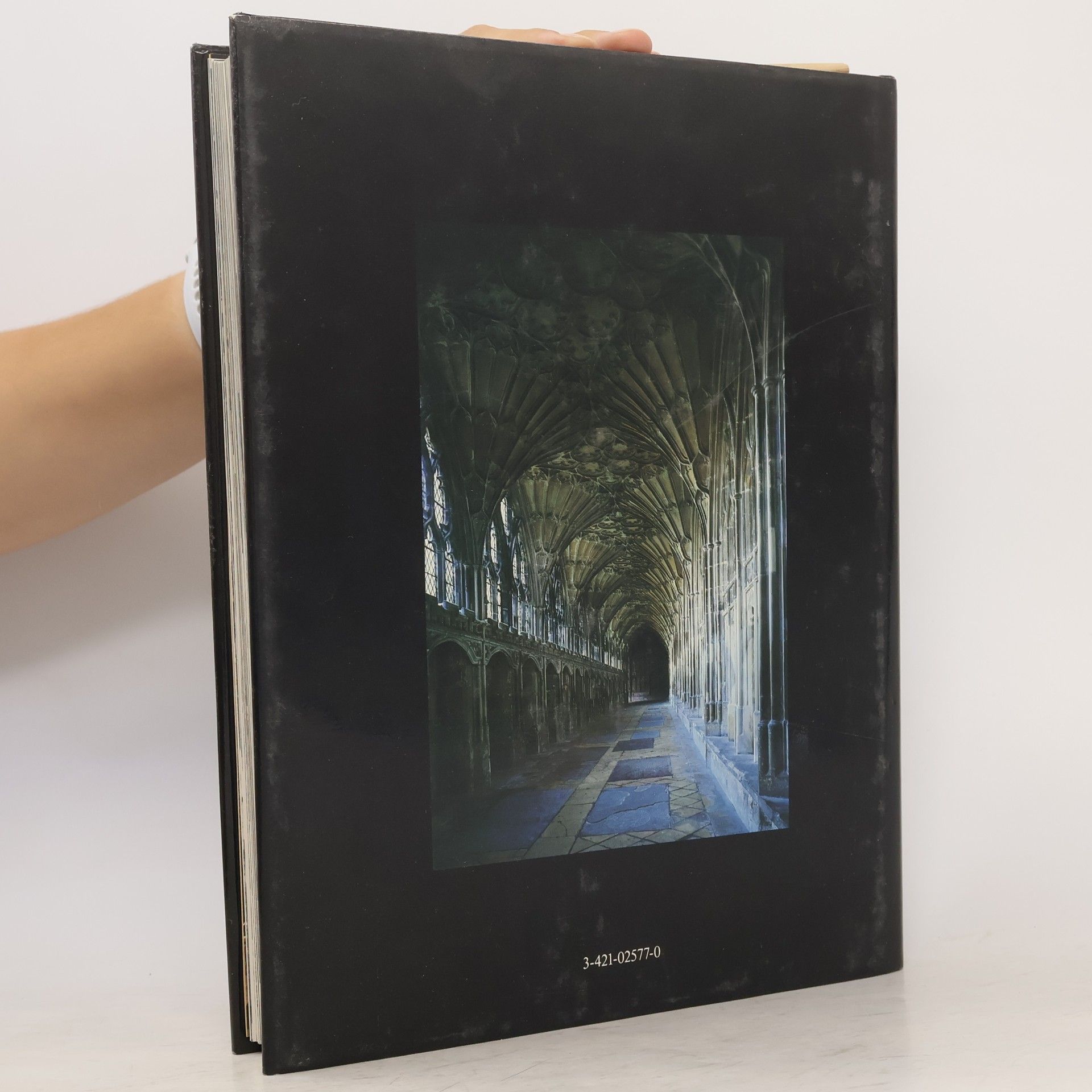 Michael Raeburn Baukunst des Abendlandes: Entstehung u. Entwicklung unserer gebauten Kultur