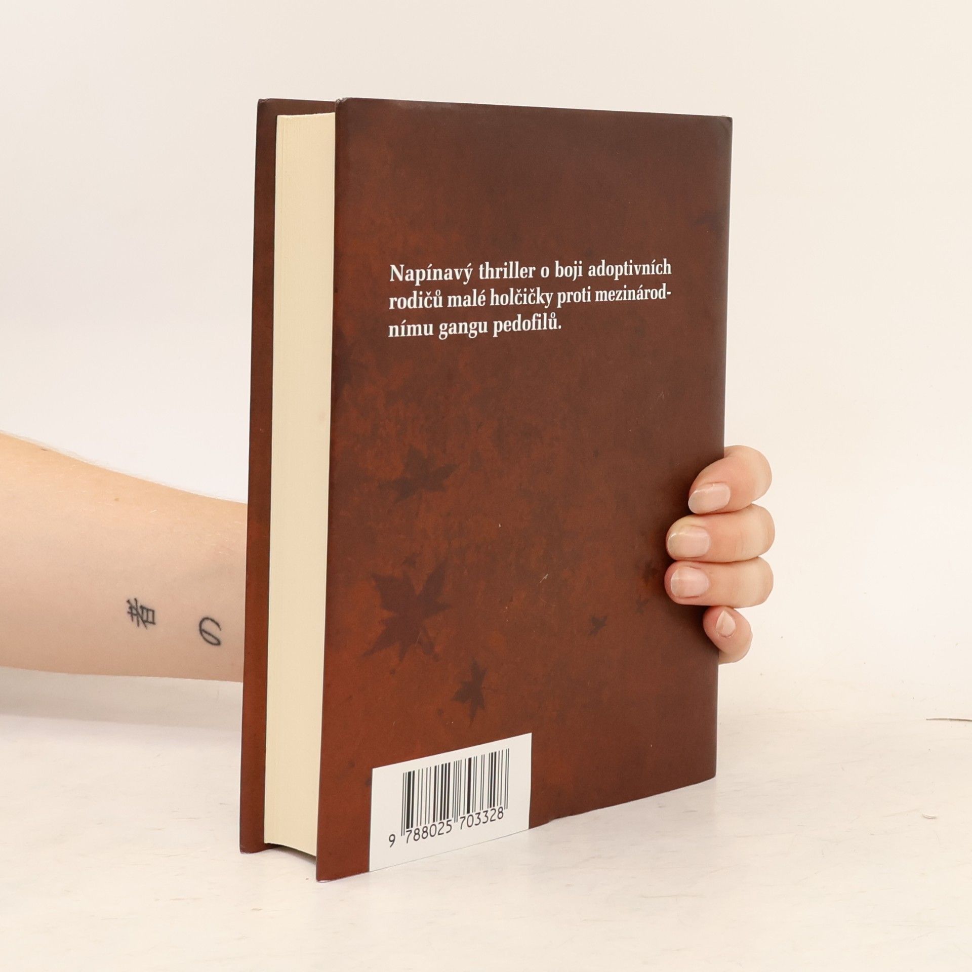 C. J. Box Tři týdny ... A navždy sbohem