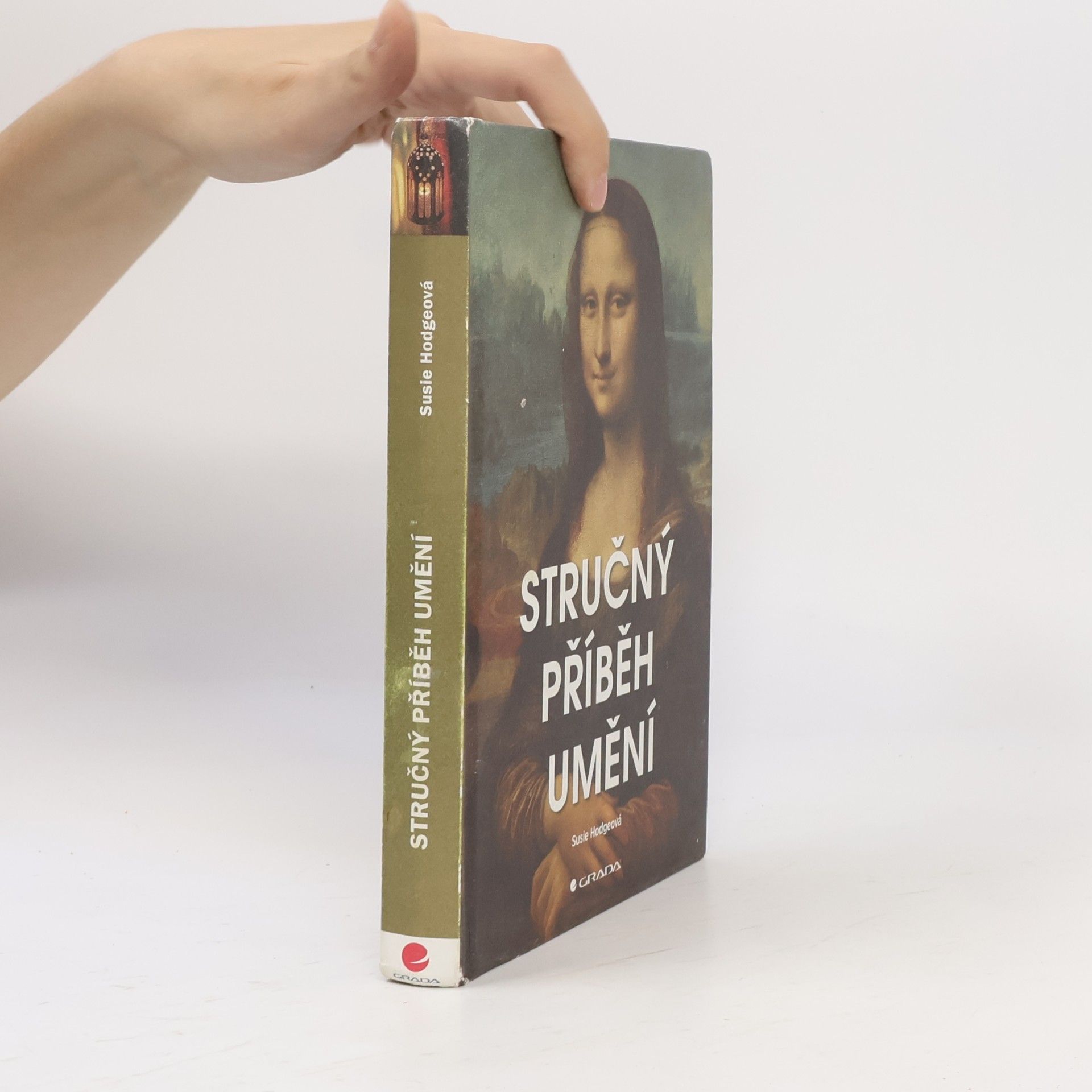Susie Hodge Stručný příběh umění