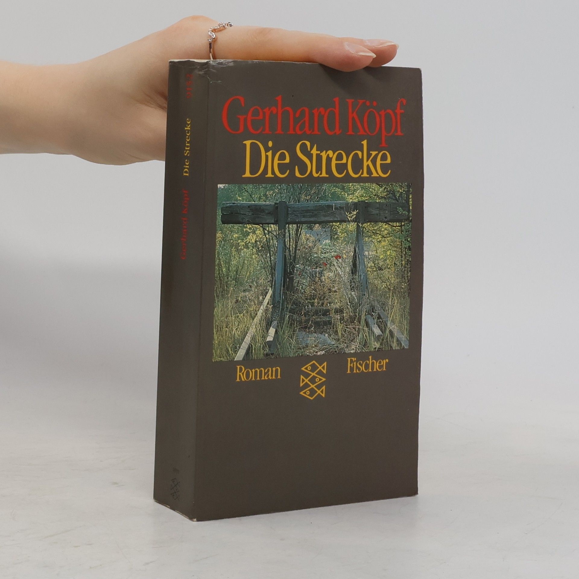 Gerhard Köpf Die Strecke