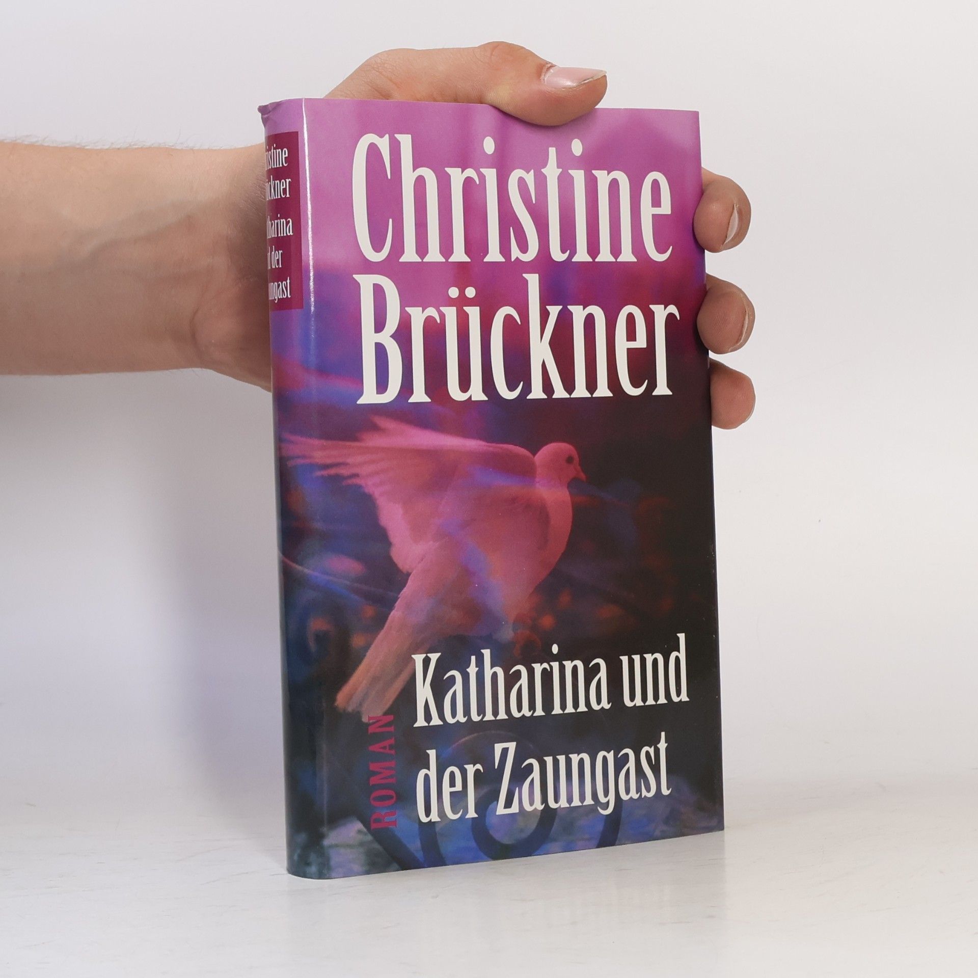 Christine Brückner Katharina und der Zaungast