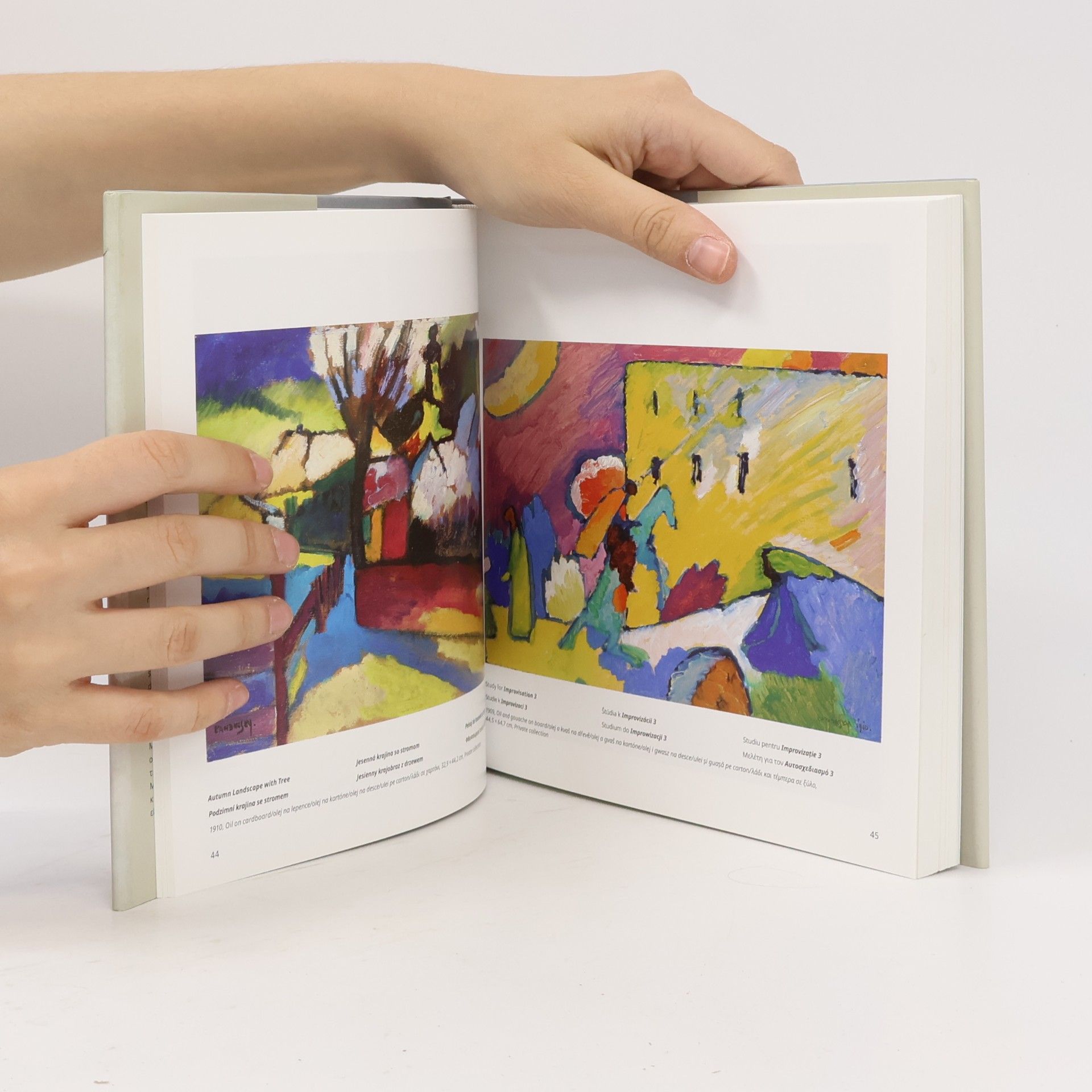 Hajo Düchting Kandinsky Kandinskij καντινσκι