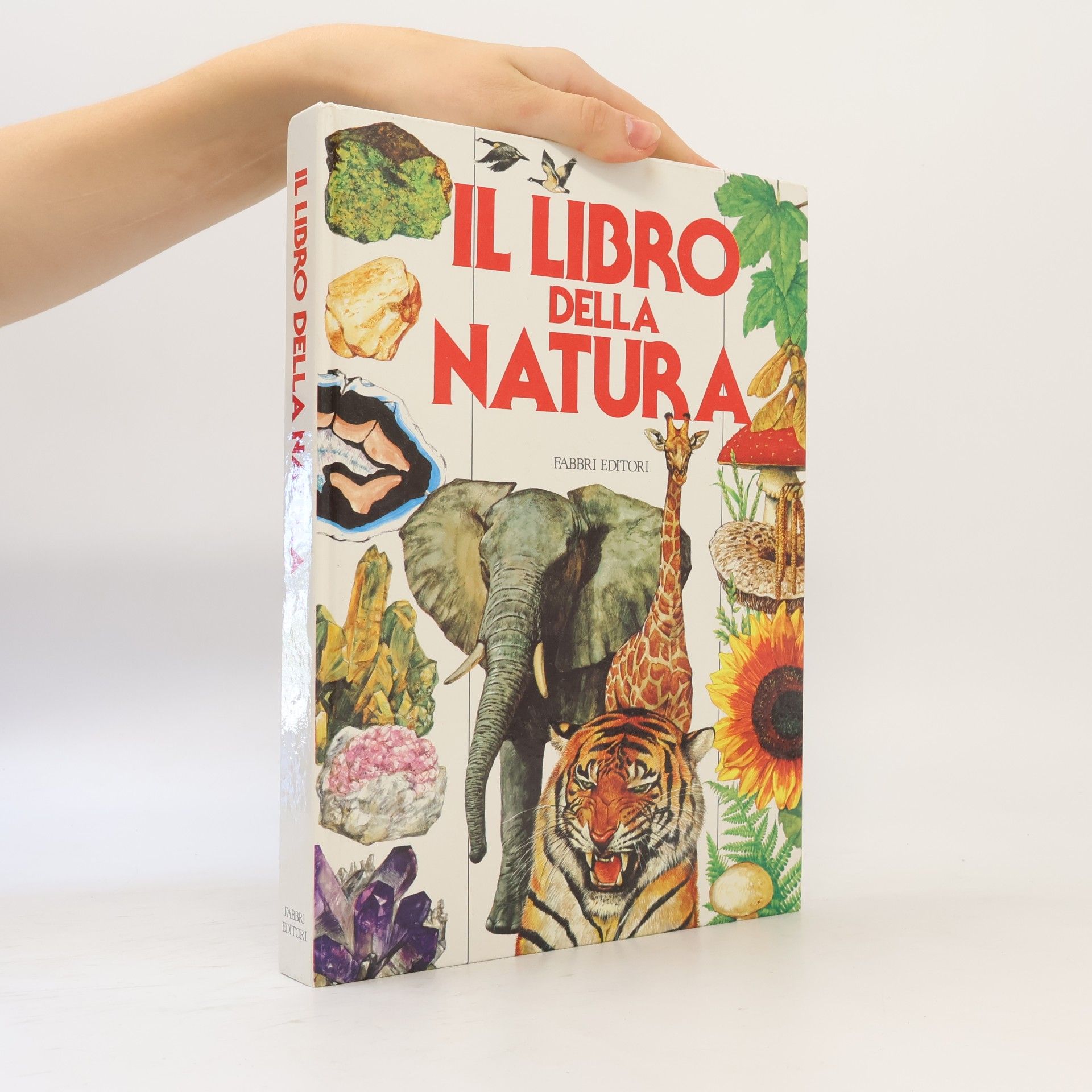Collectif d'auteurs Il libro della natura. Ediz. illustrata (Varia 10-14 anni)