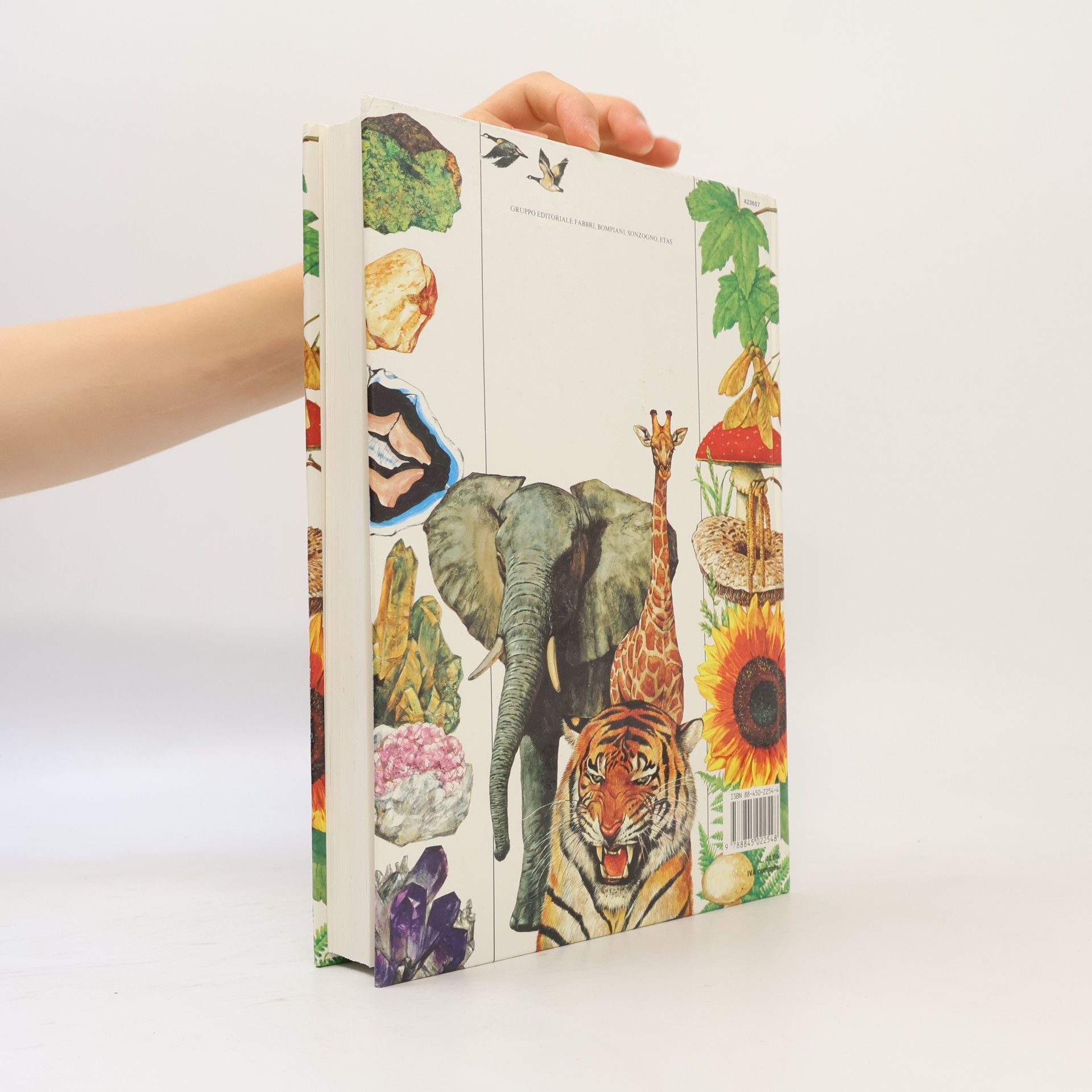 Il libro della natura. Ediz. illustrata (Varia 10-14 anni)
