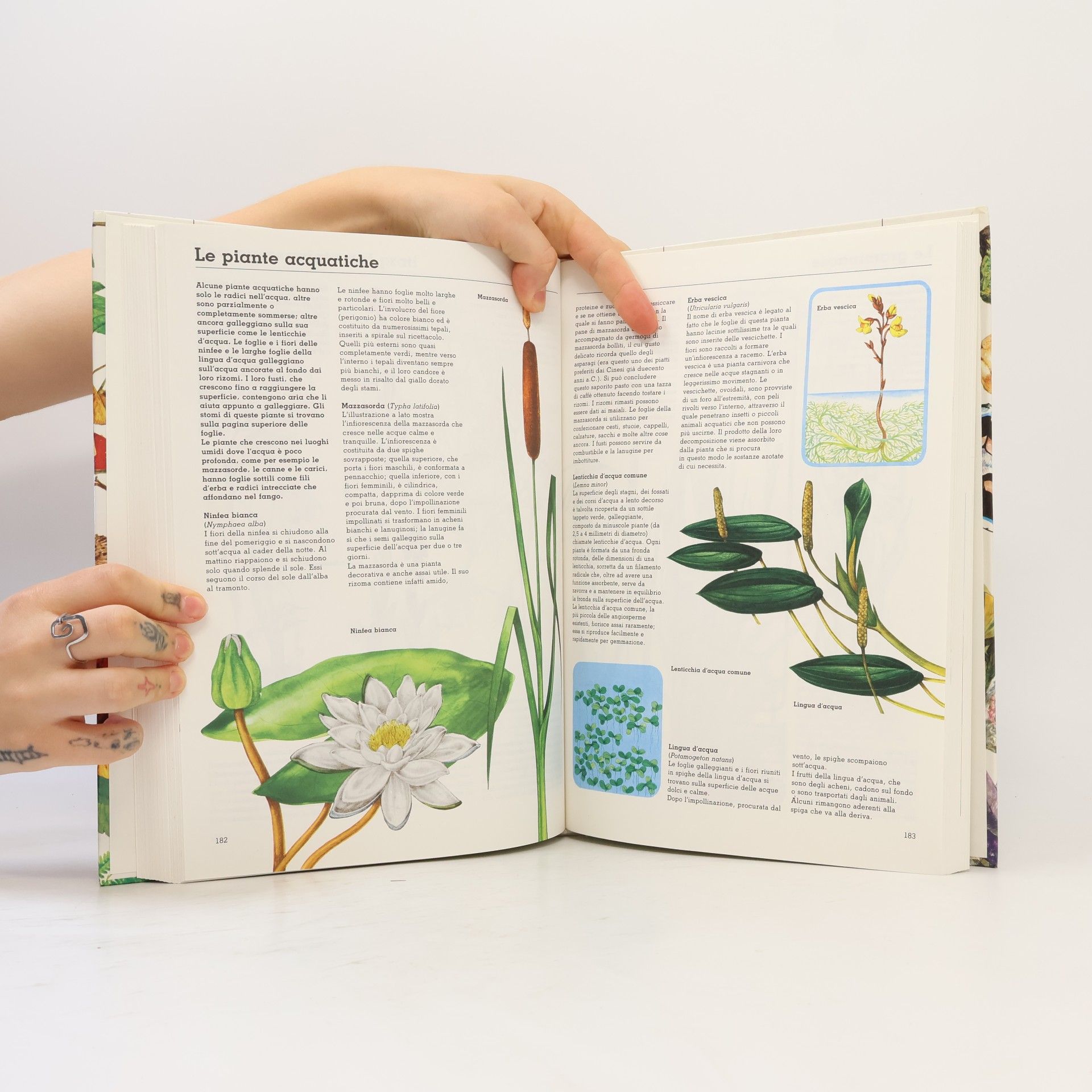 Il libro della natura. Ediz. illustrata (Varia 10-14 anni)