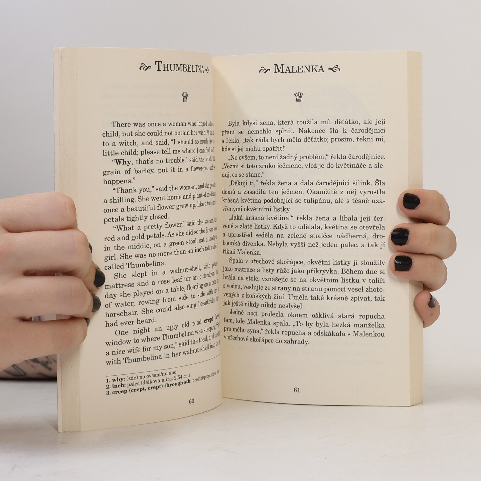 Hans Christian Andersen Fairy Tales. Pohádky H. Ch. Andersena